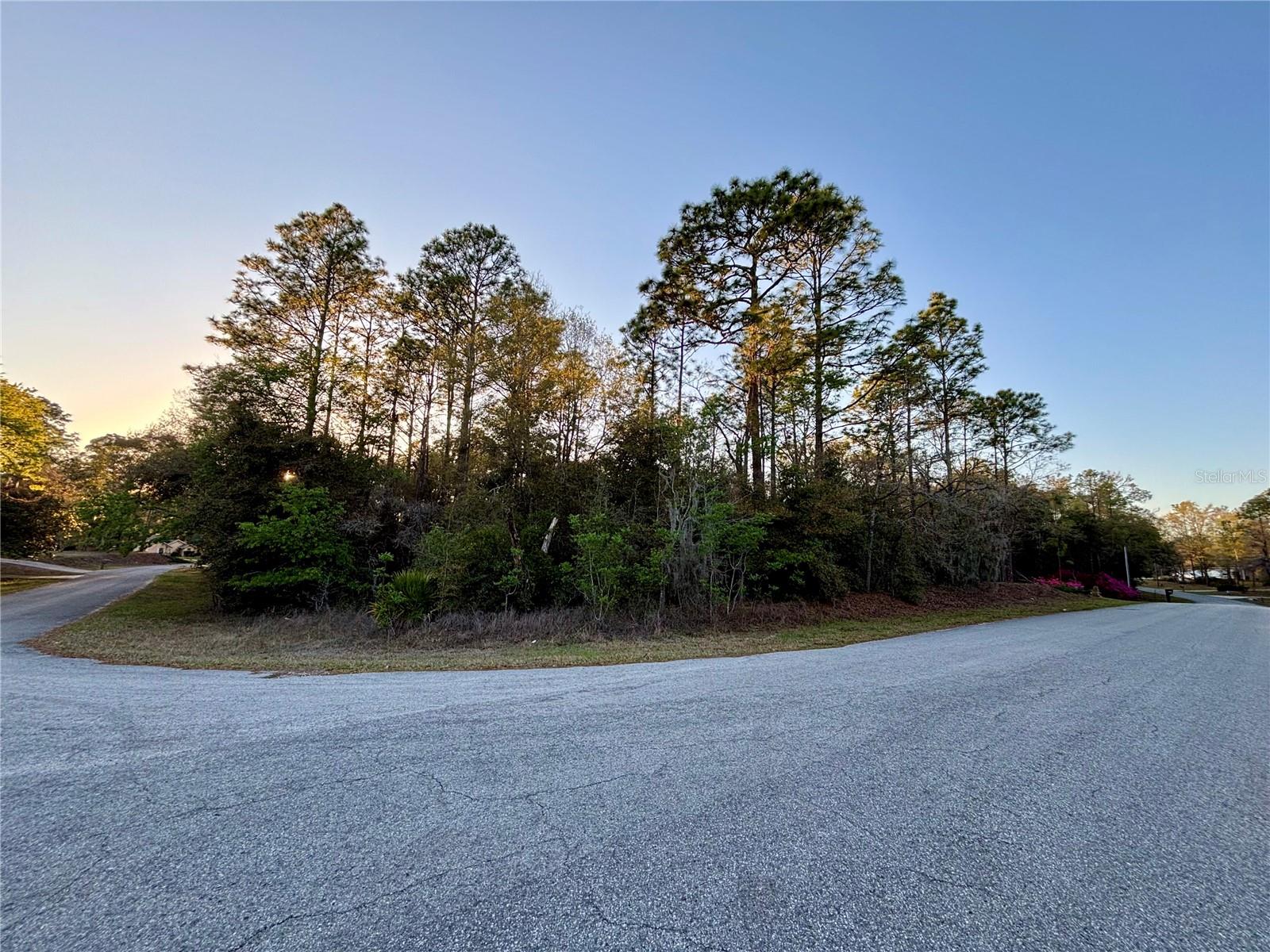 Lot 33 SW 97 PL, DUNNELLON, FL