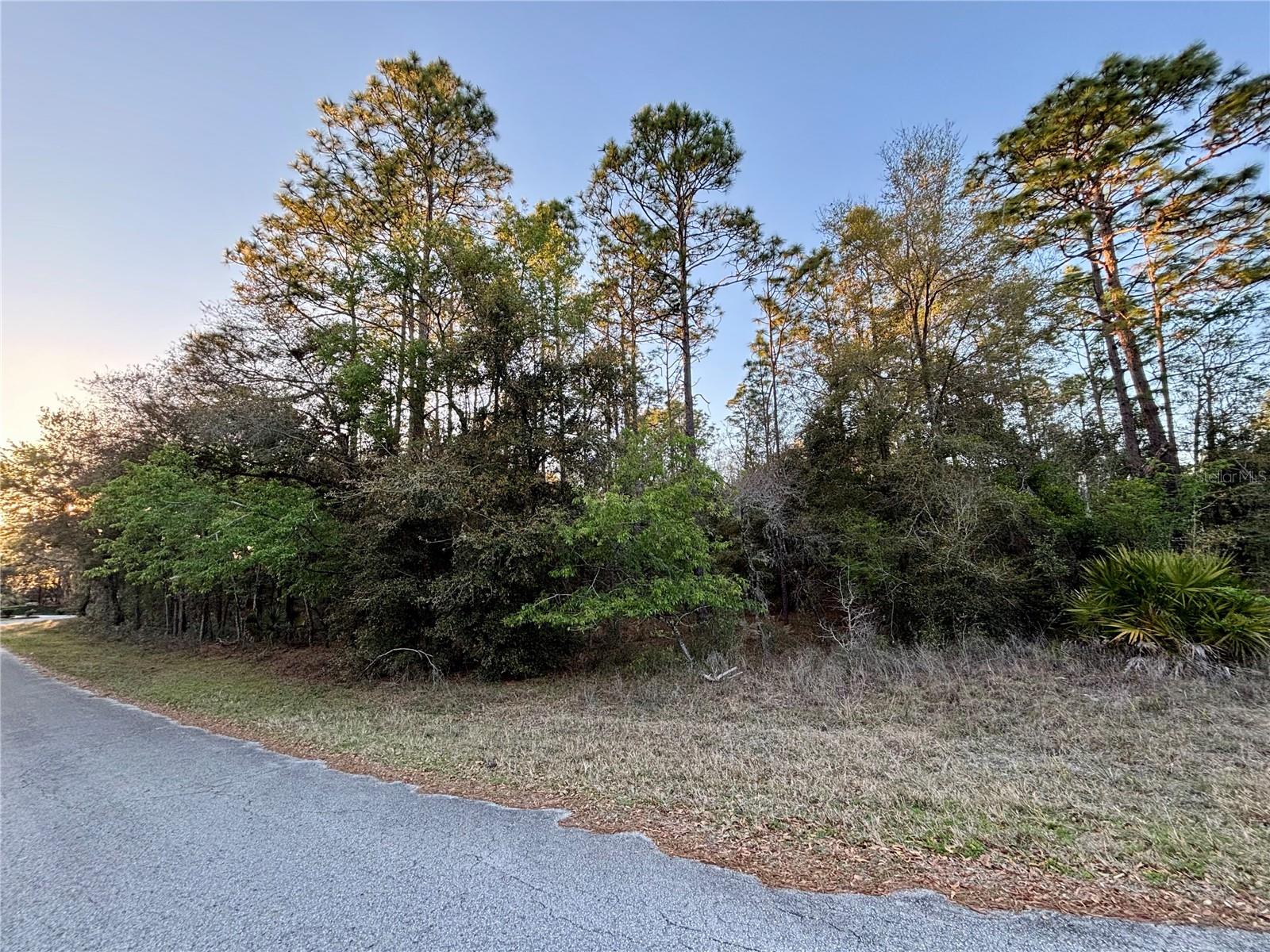 Lot 33 SW 97 PL, DUNNELLON, FL — photo 2
