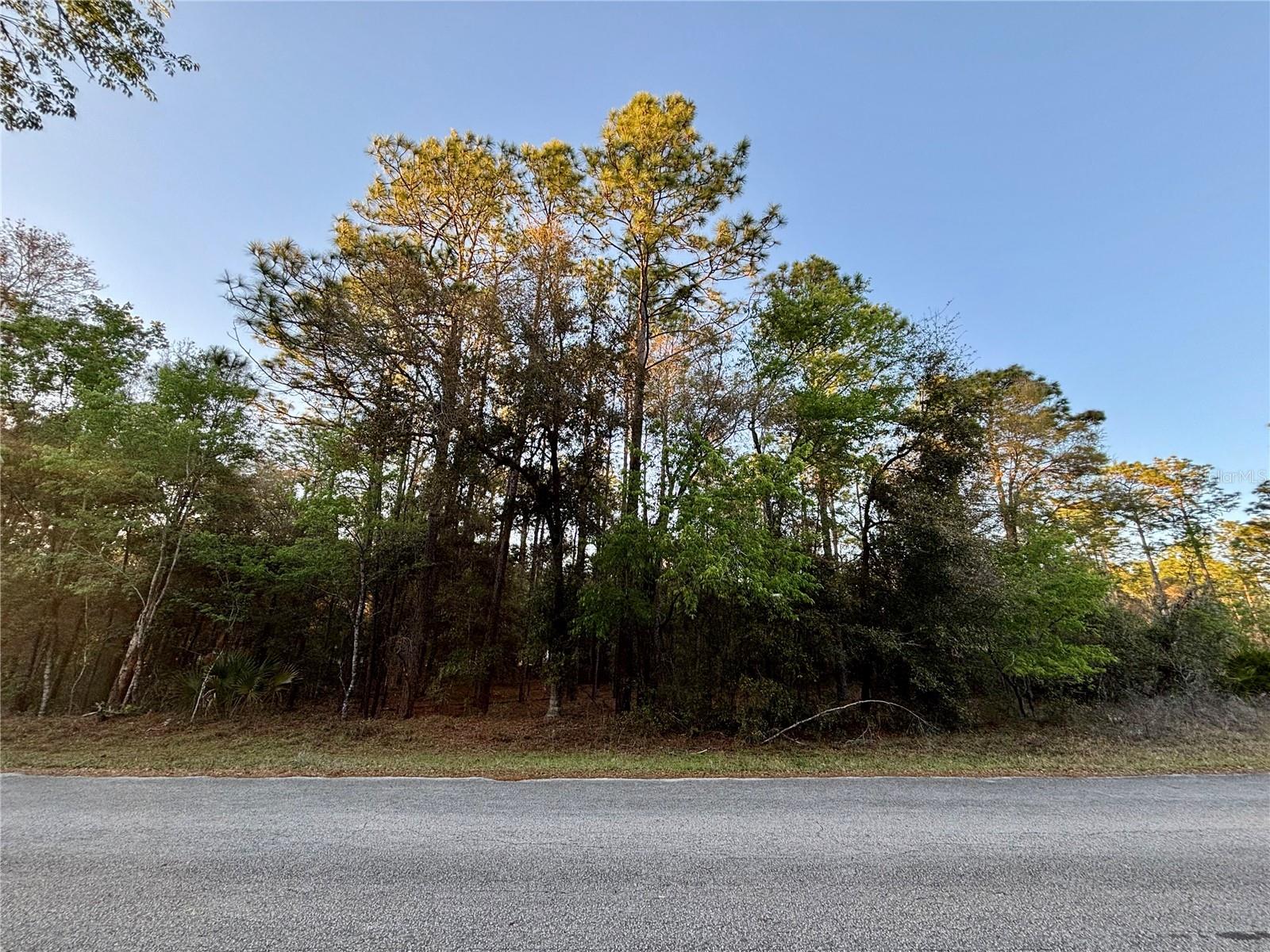 Lot 33 SW 97 PL, DUNNELLON, FL — photo 3