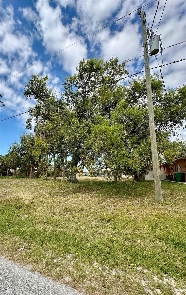 45 LONG MEADOW LN, ROTONDA WEST, FL — photo 8