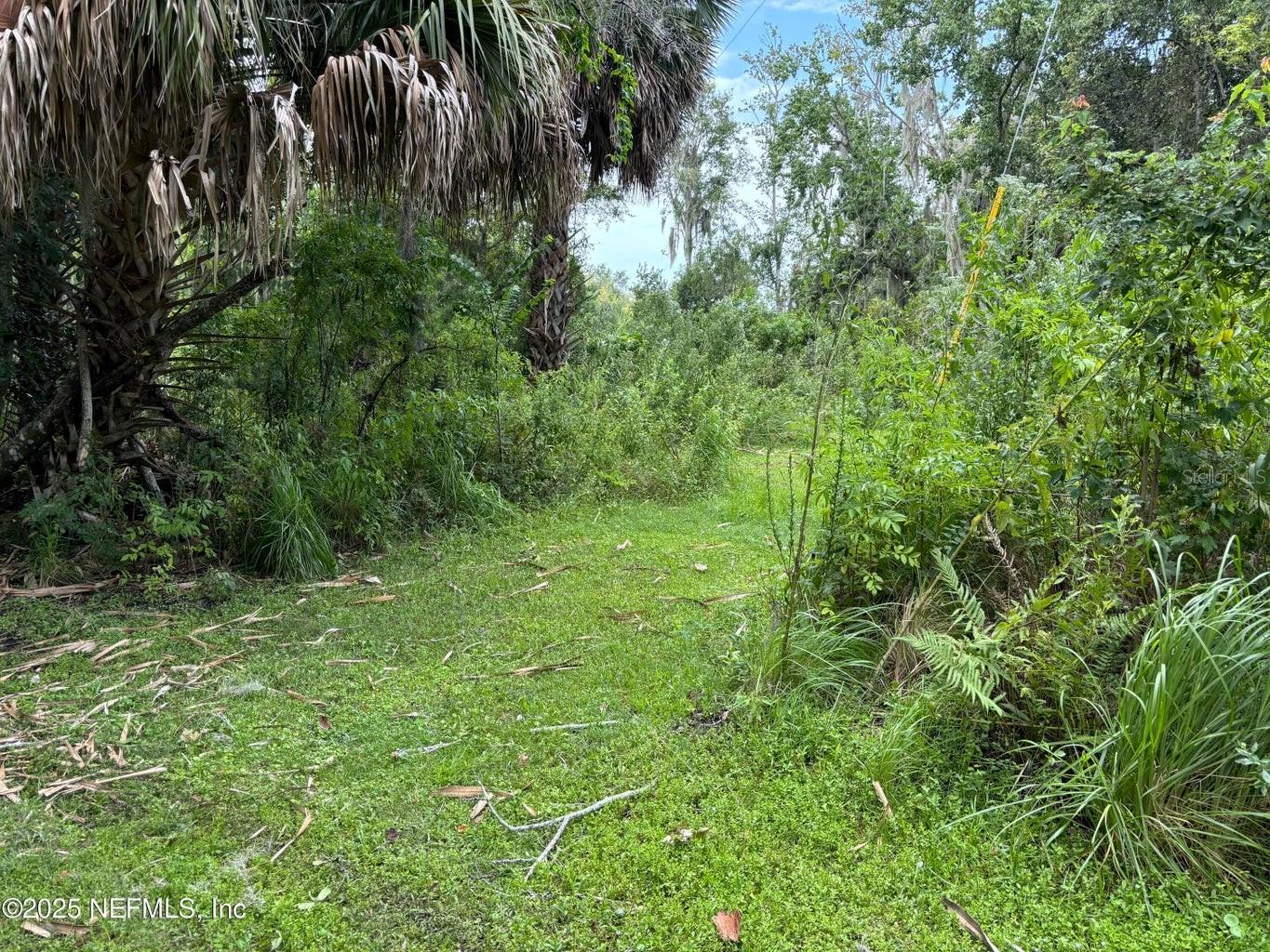 6001 BIRD ISLAND DR, LADY LAKE, FL — photo 39
