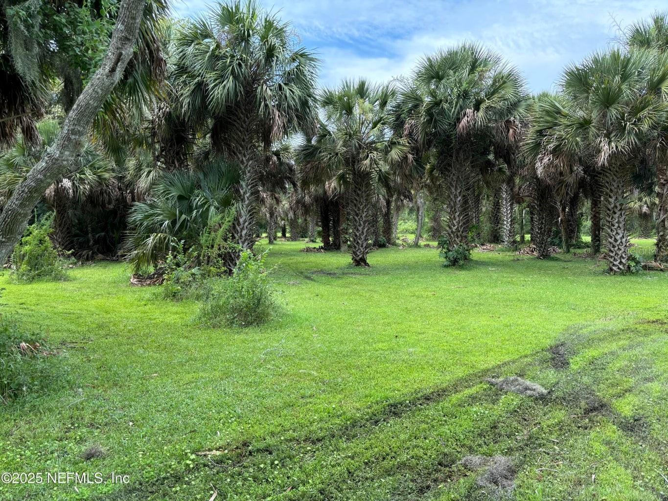 6001 BIRD ISLAND DR, LADY LAKE, FL — photo 45