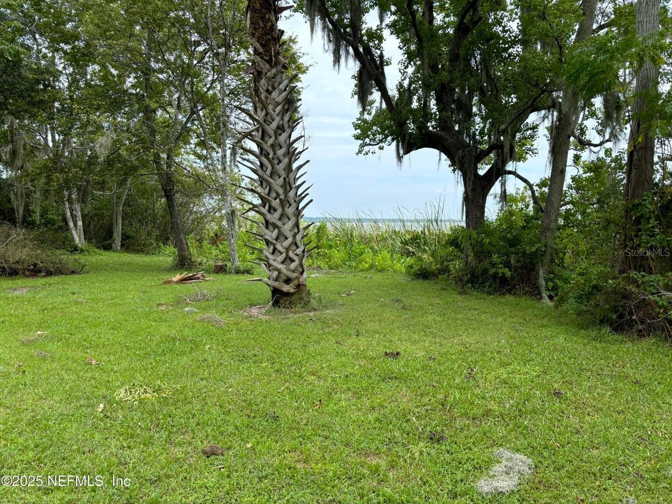 6001 BIRD ISLAND DR, LADY LAKE, FL — photo 58