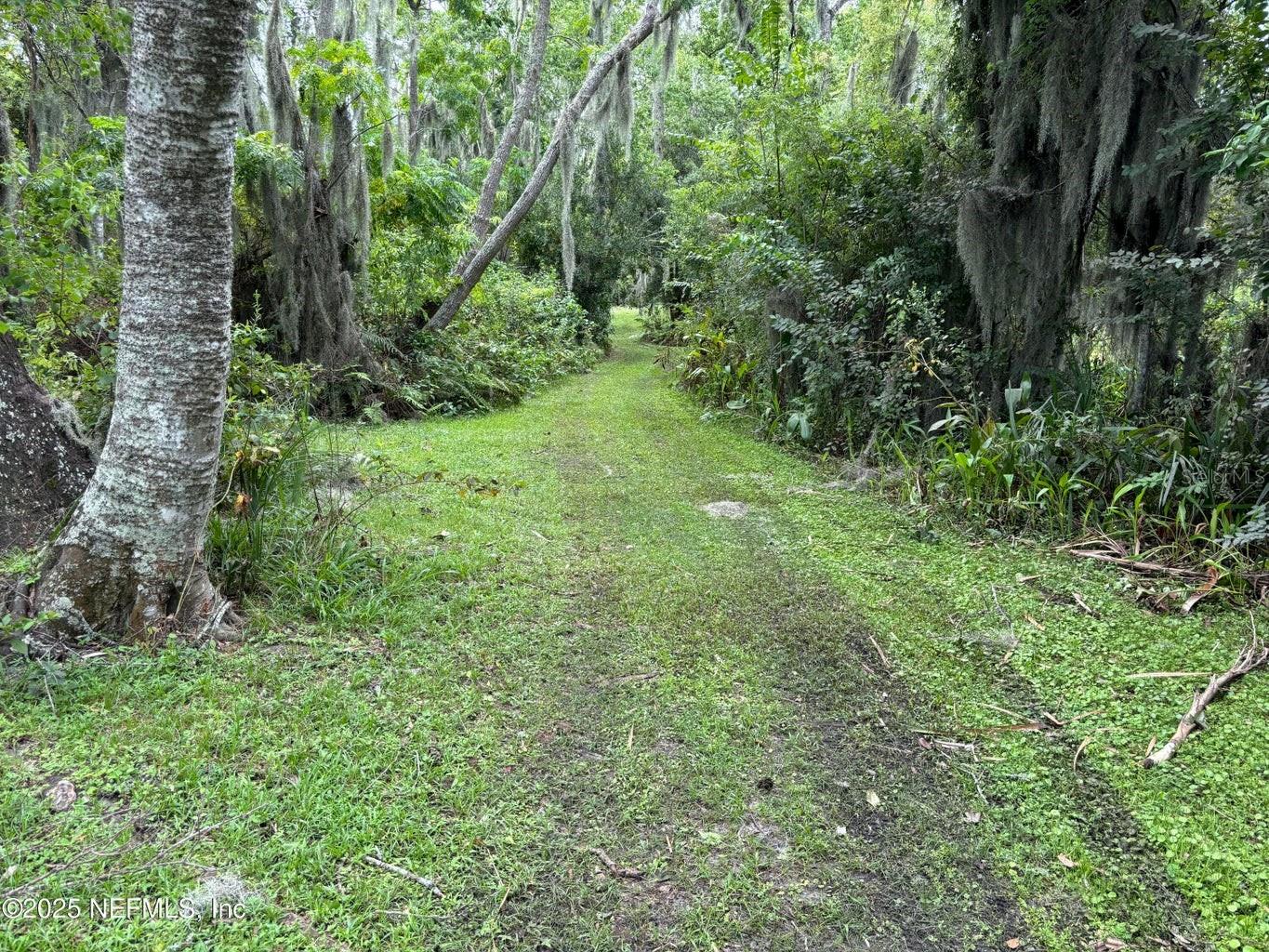 6001 BIRD ISLAND DR, LADY LAKE, FL — photo 59