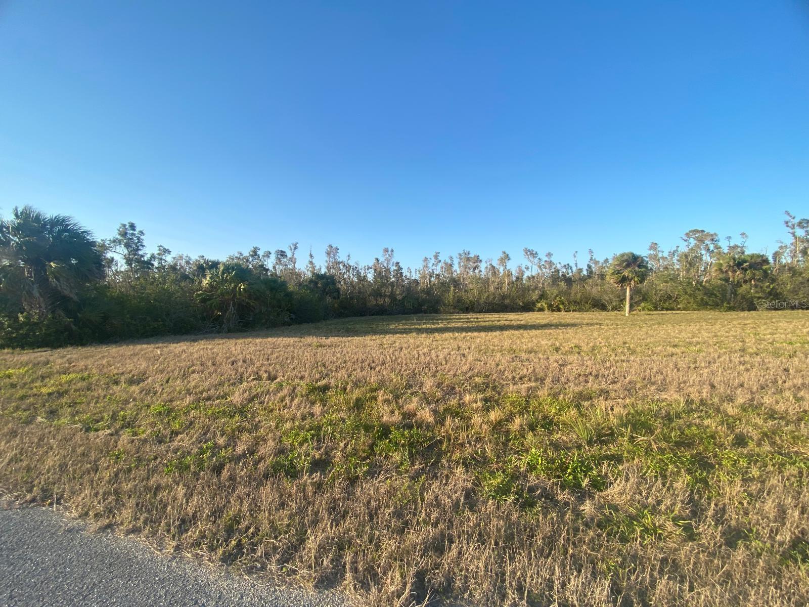 14420 BURBANK PL, PLACIDA, FL — photo 3
