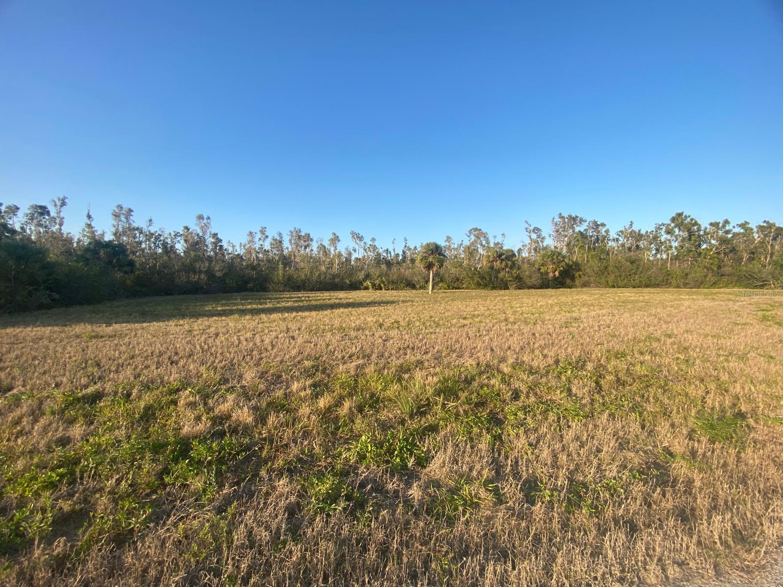 14420 BURBANK PL, PLACIDA, FL — photo 4
