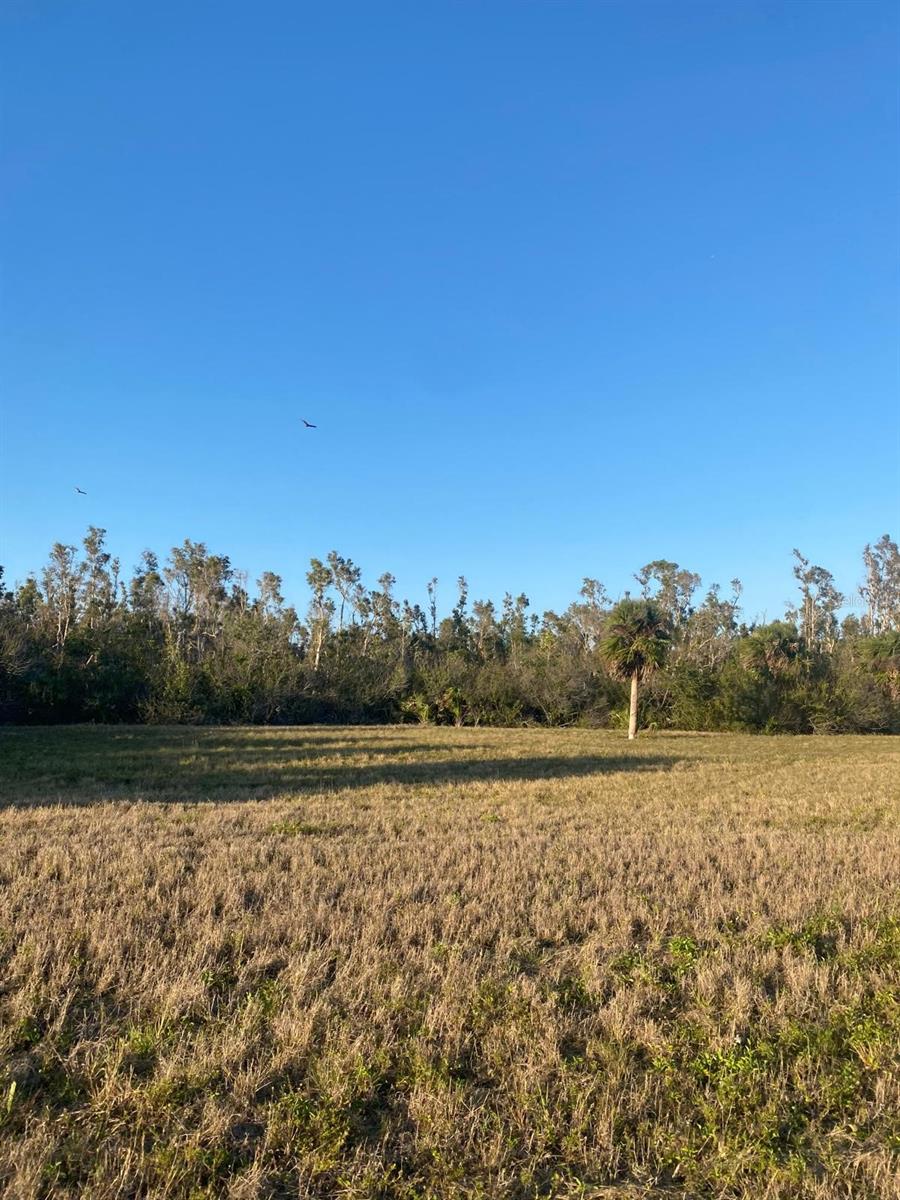 14420 BURBANK PL, PLACIDA, FL — photo 5