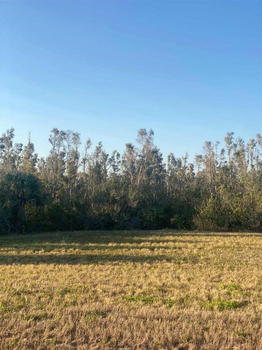 14420 BURBANK PL, PLACIDA, FL — photo 14