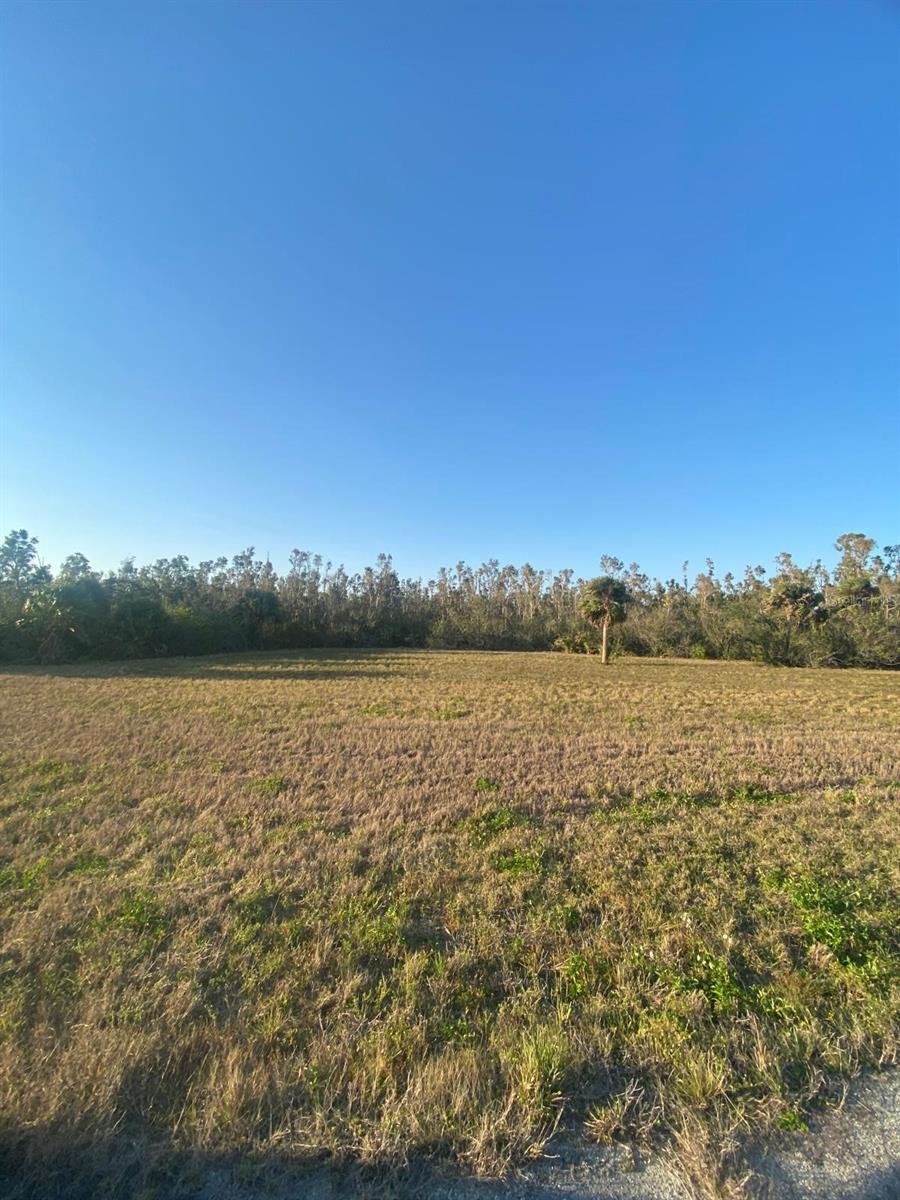 14420 BURBANK PL, PLACIDA, FL — photo 15