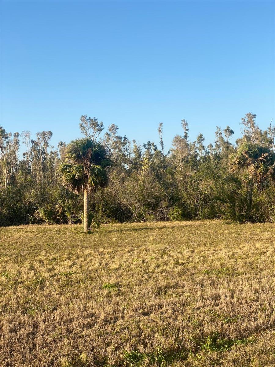 14420 BURBANK PL, PLACIDA, FL — photo 16
