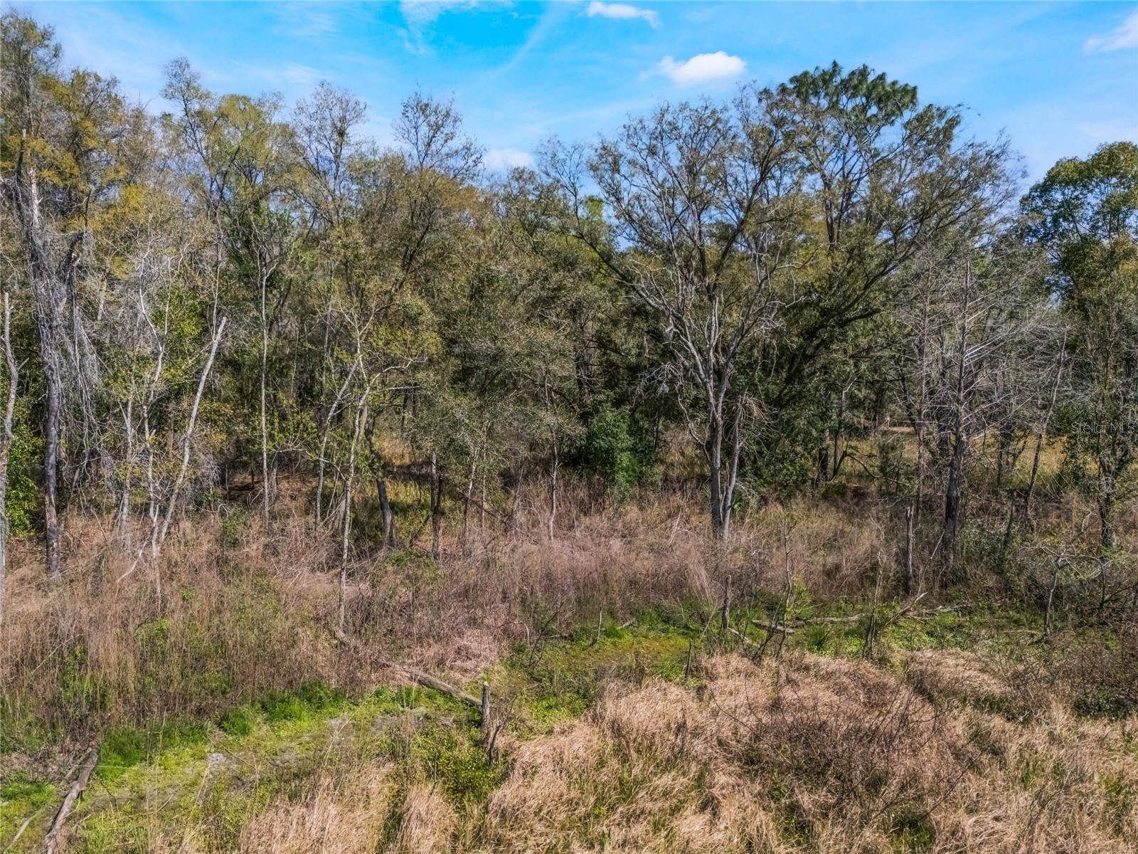 2208 EISENHOWER ST, INVERNESS, FL