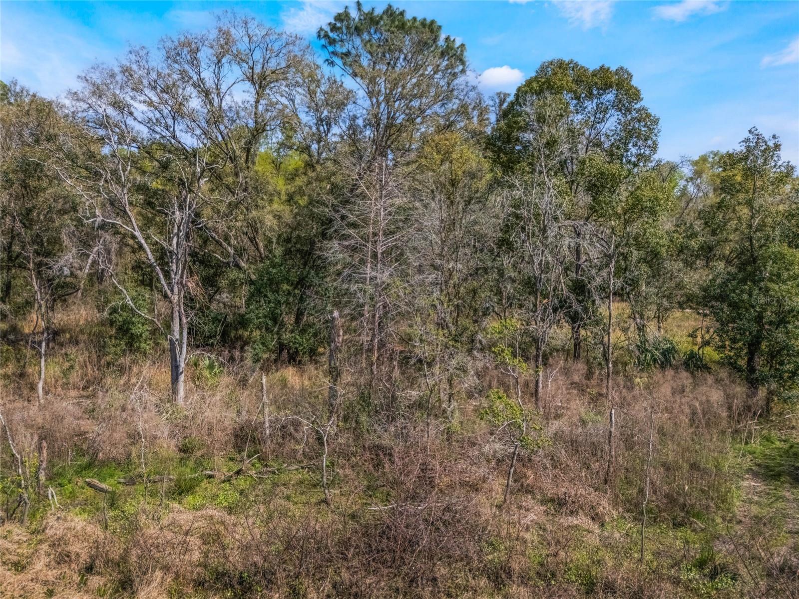 2208 EISENHOWER ST, INVERNESS, FL — photo 2