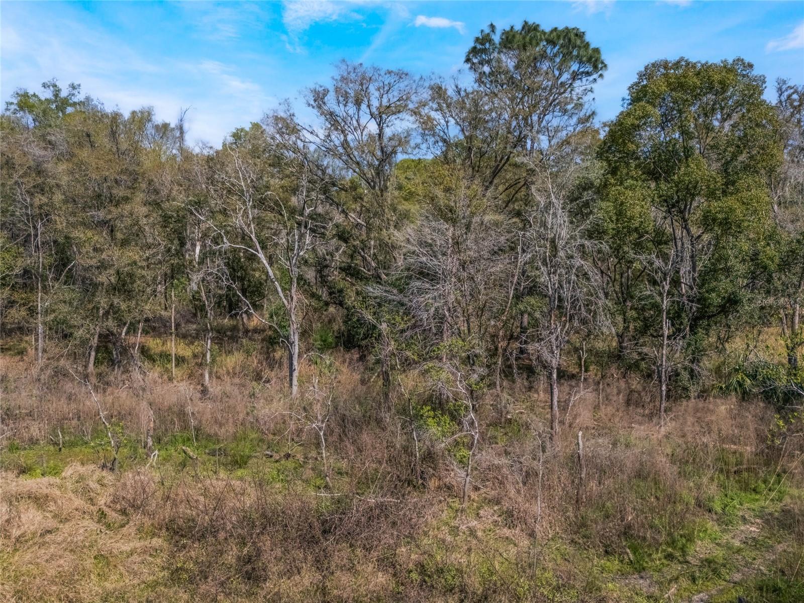2208 EISENHOWER ST, INVERNESS, FL — photo 3