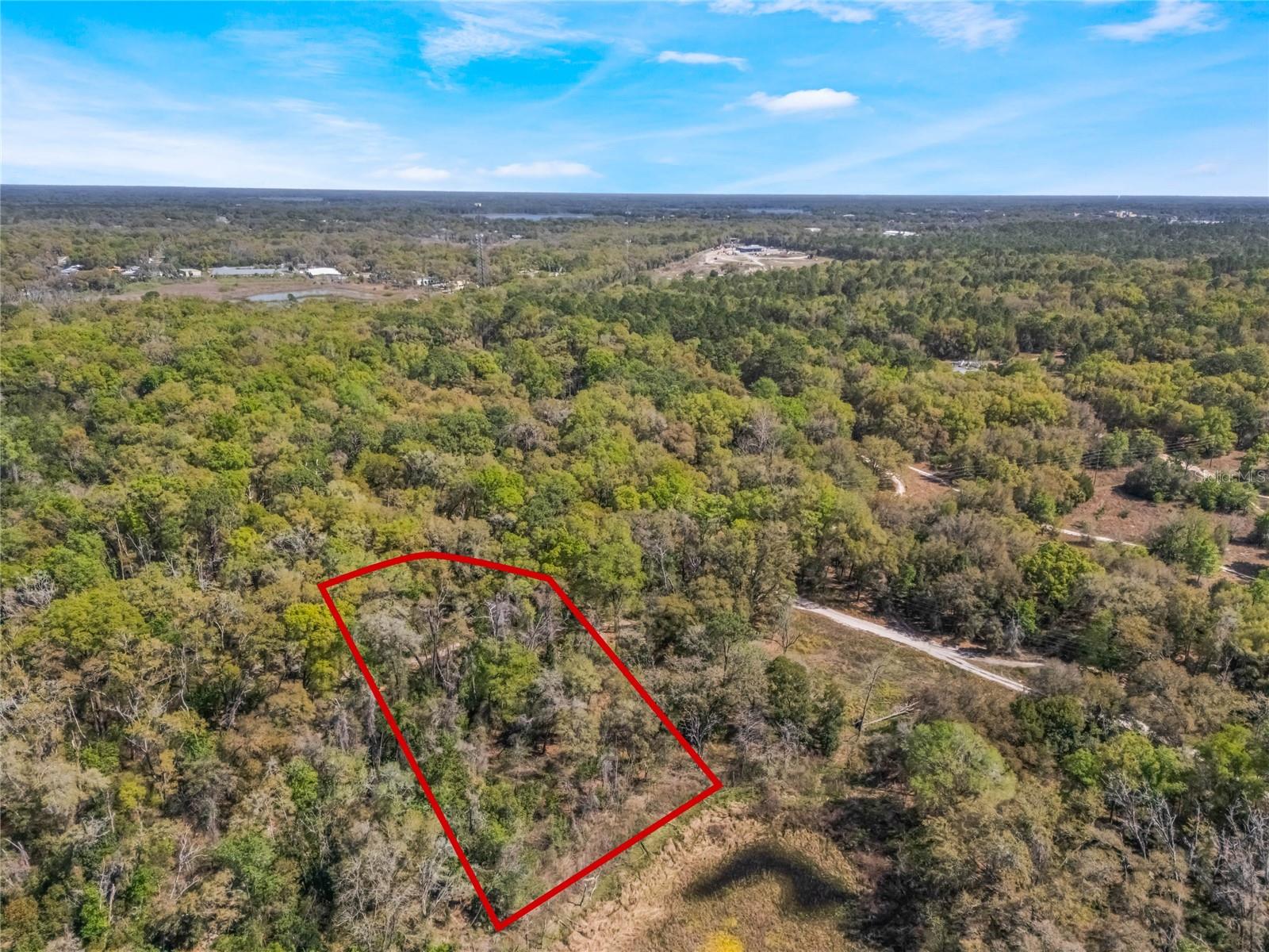 2208 EISENHOWER ST, INVERNESS, FL — photo 4