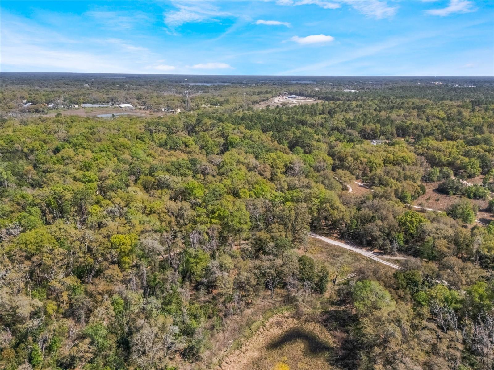 2208 EISENHOWER ST, INVERNESS, FL — photo 5