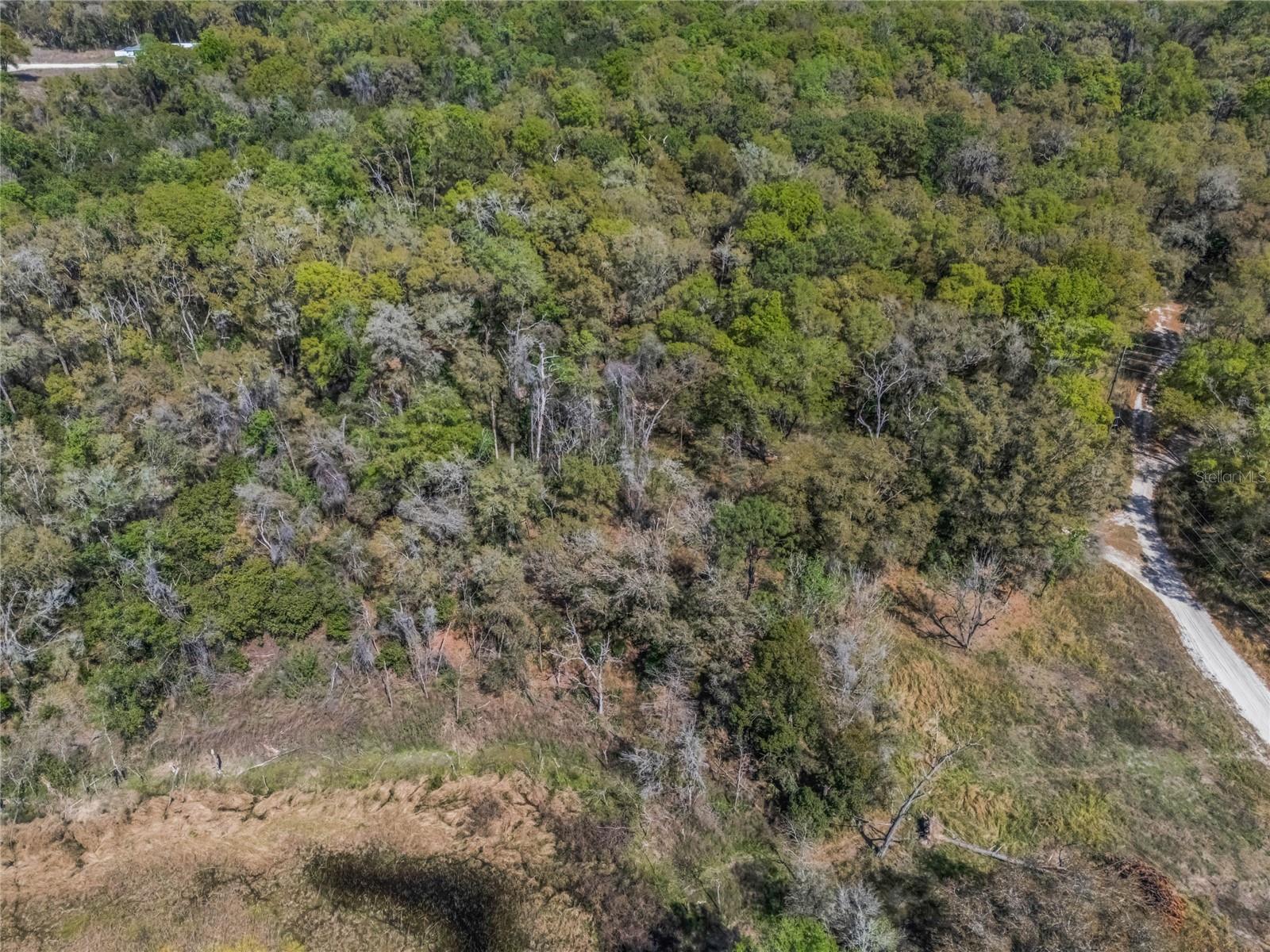 2208 EISENHOWER ST, INVERNESS, FL — photo 11