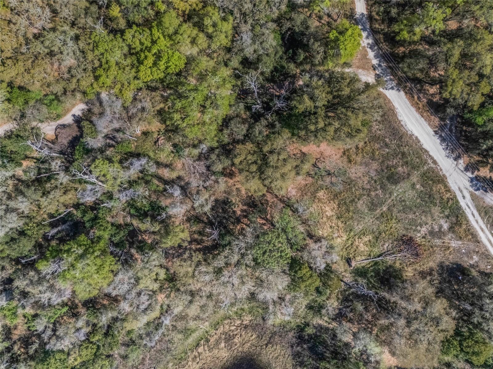 2208 EISENHOWER ST, INVERNESS, FL — photo 12