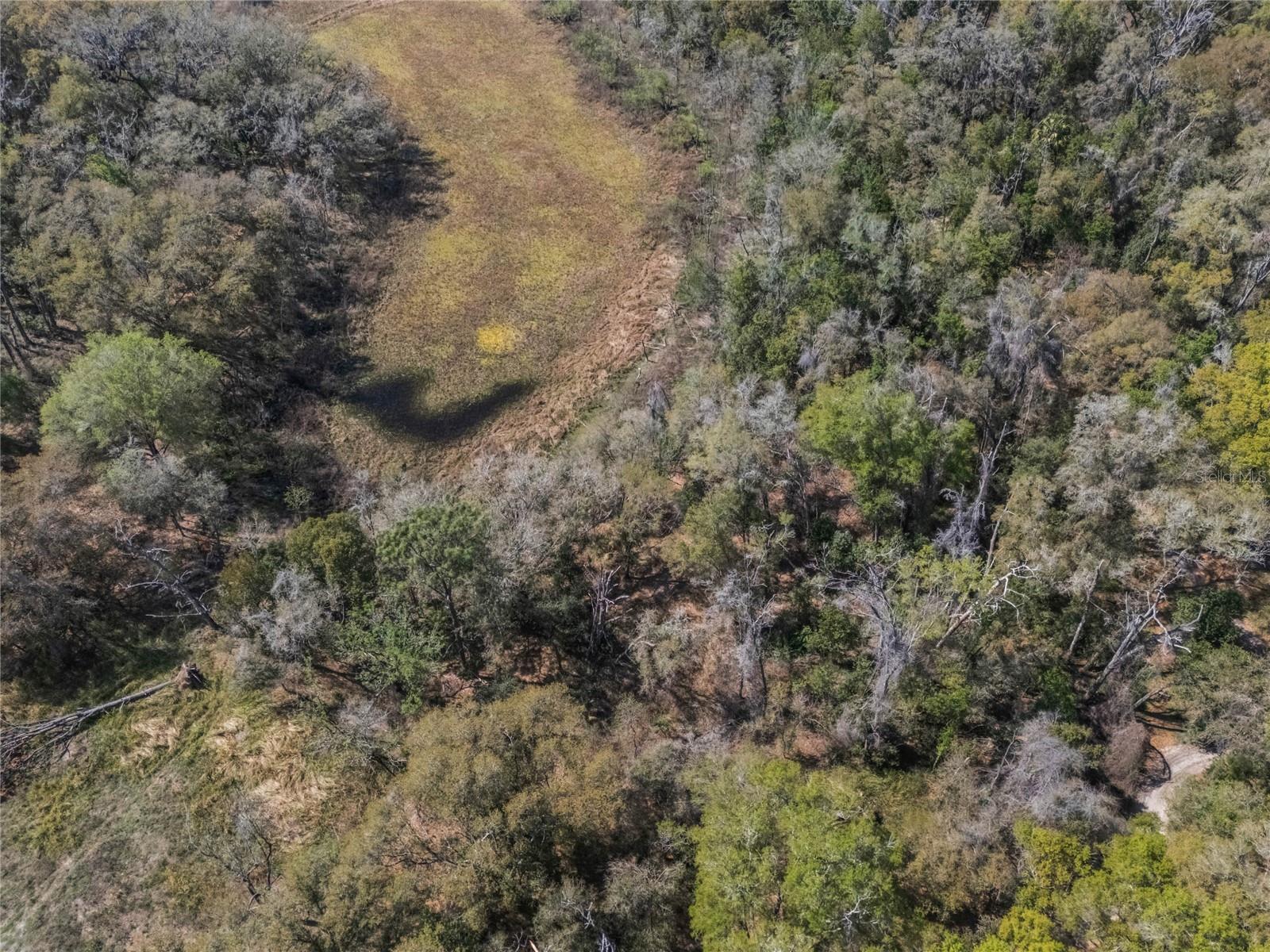 2208 EISENHOWER ST, INVERNESS, FL — photo 13