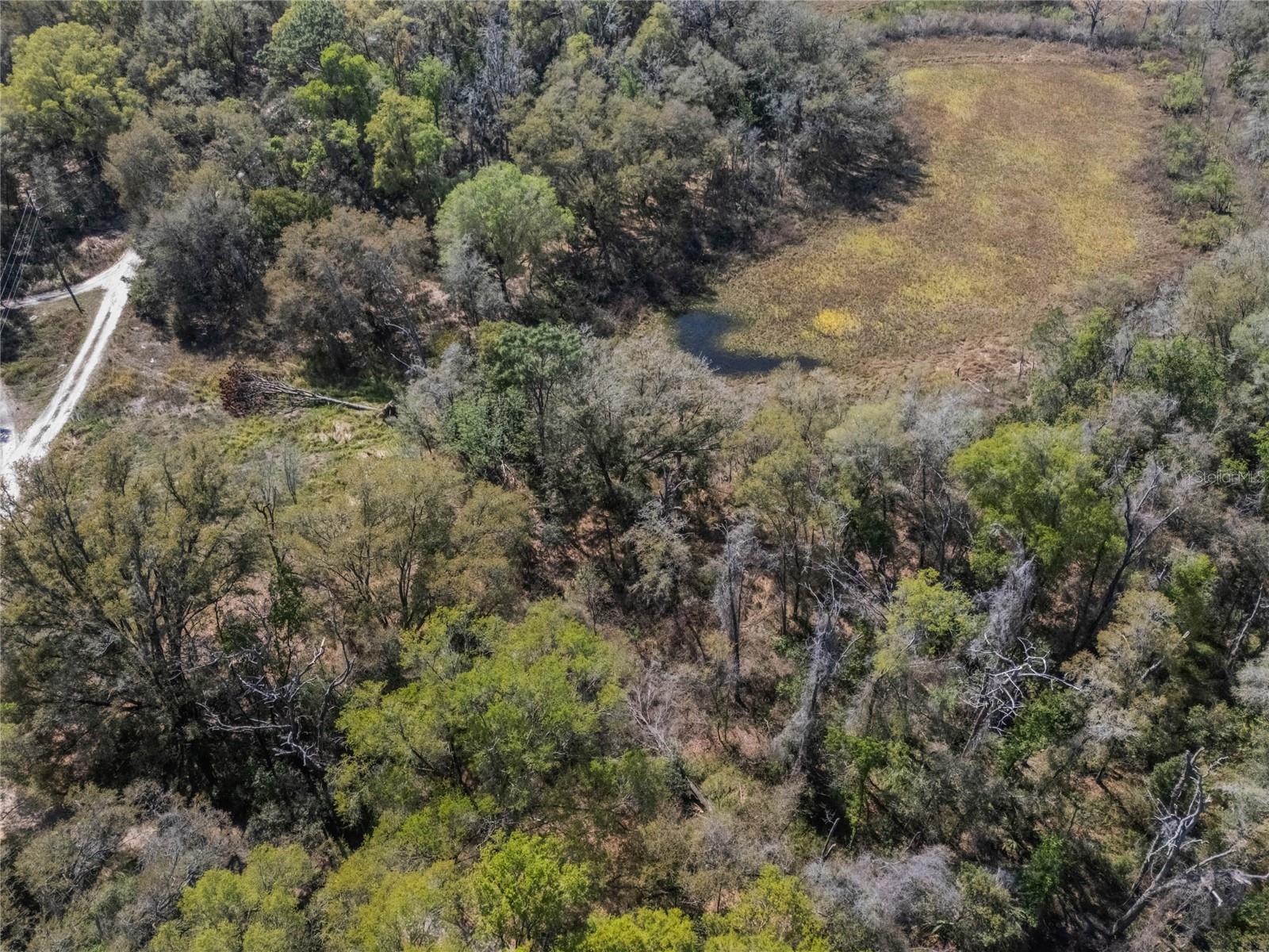 2208 EISENHOWER ST, INVERNESS, FL — photo 16