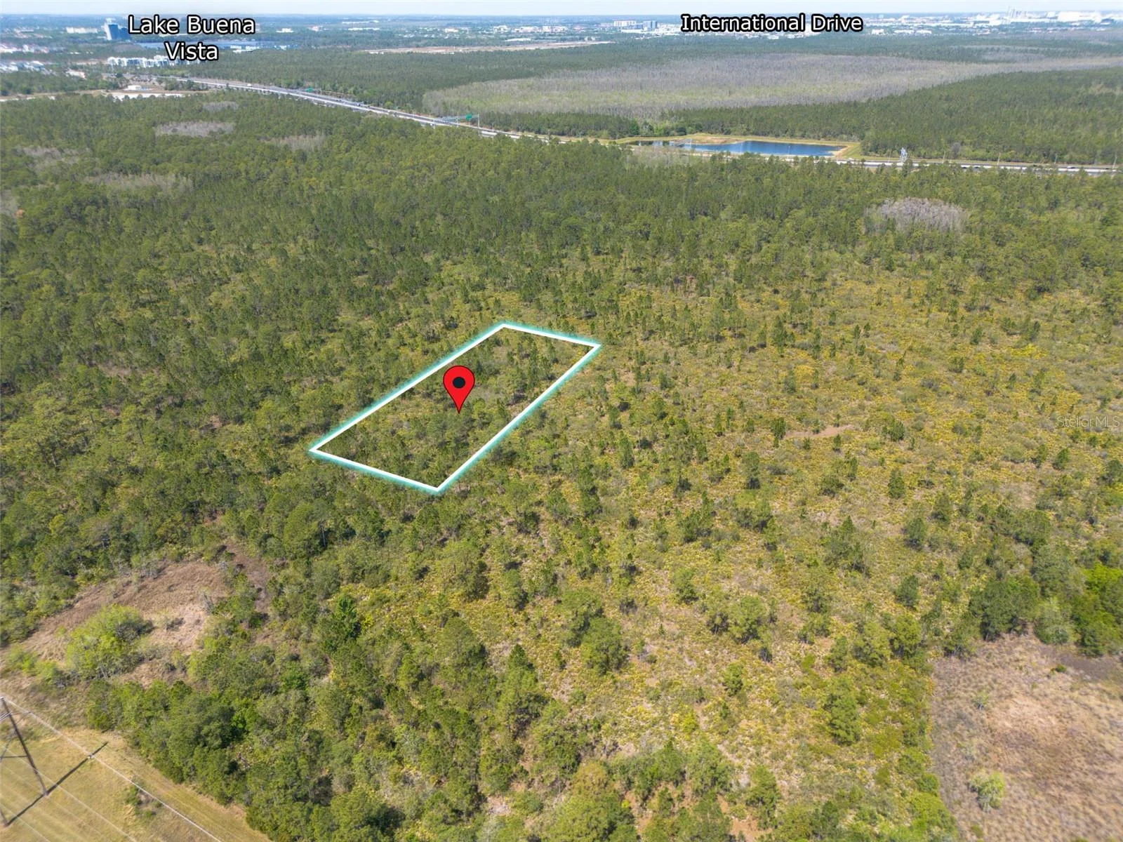 SR-535, ORLANDO, FL — photo 2