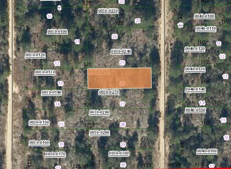 00 SW 57TH AVENUE, INTERLACHEN, FL