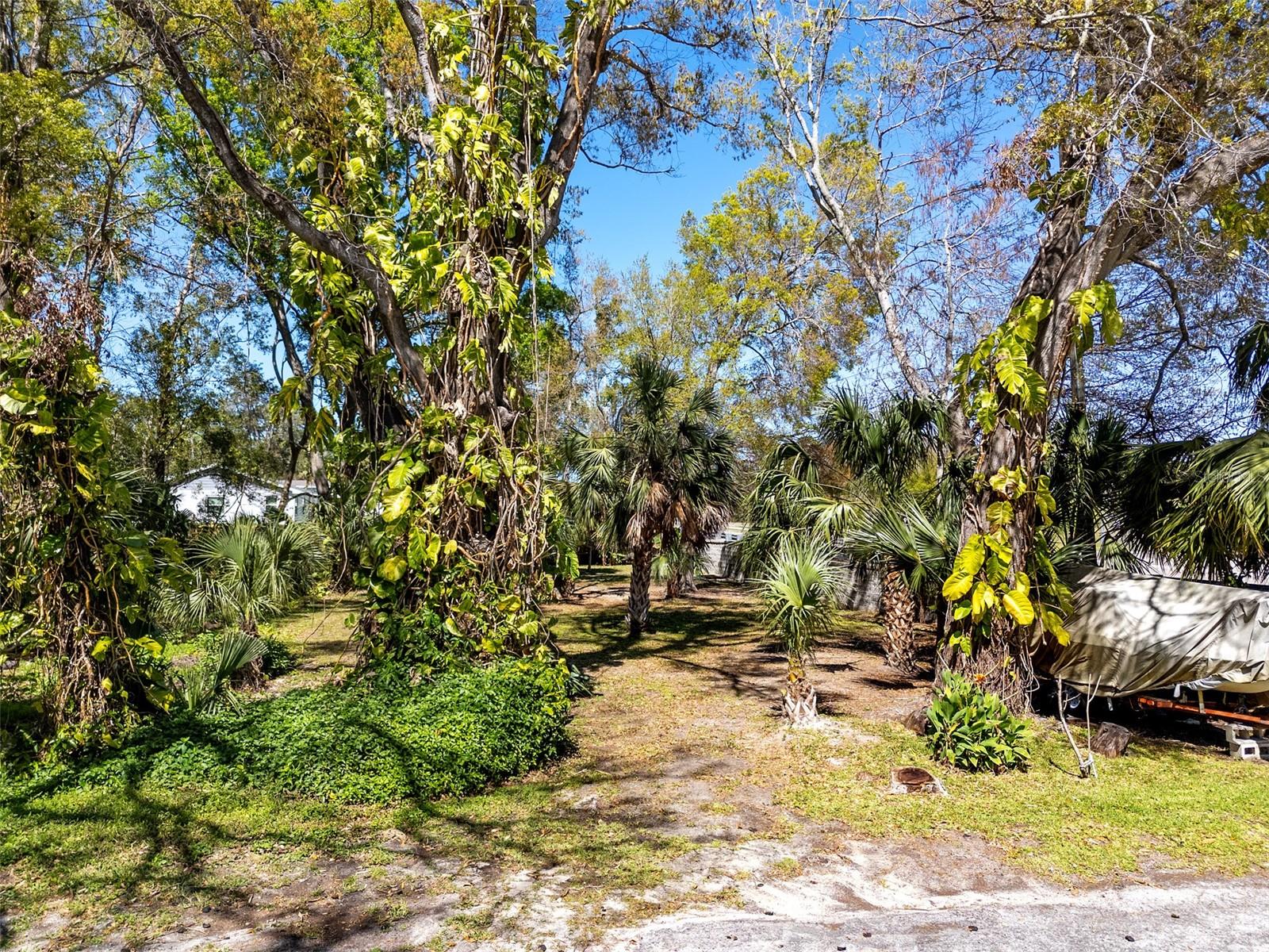 BOSTON ST, TARPON SPRINGS, FL — photo 8