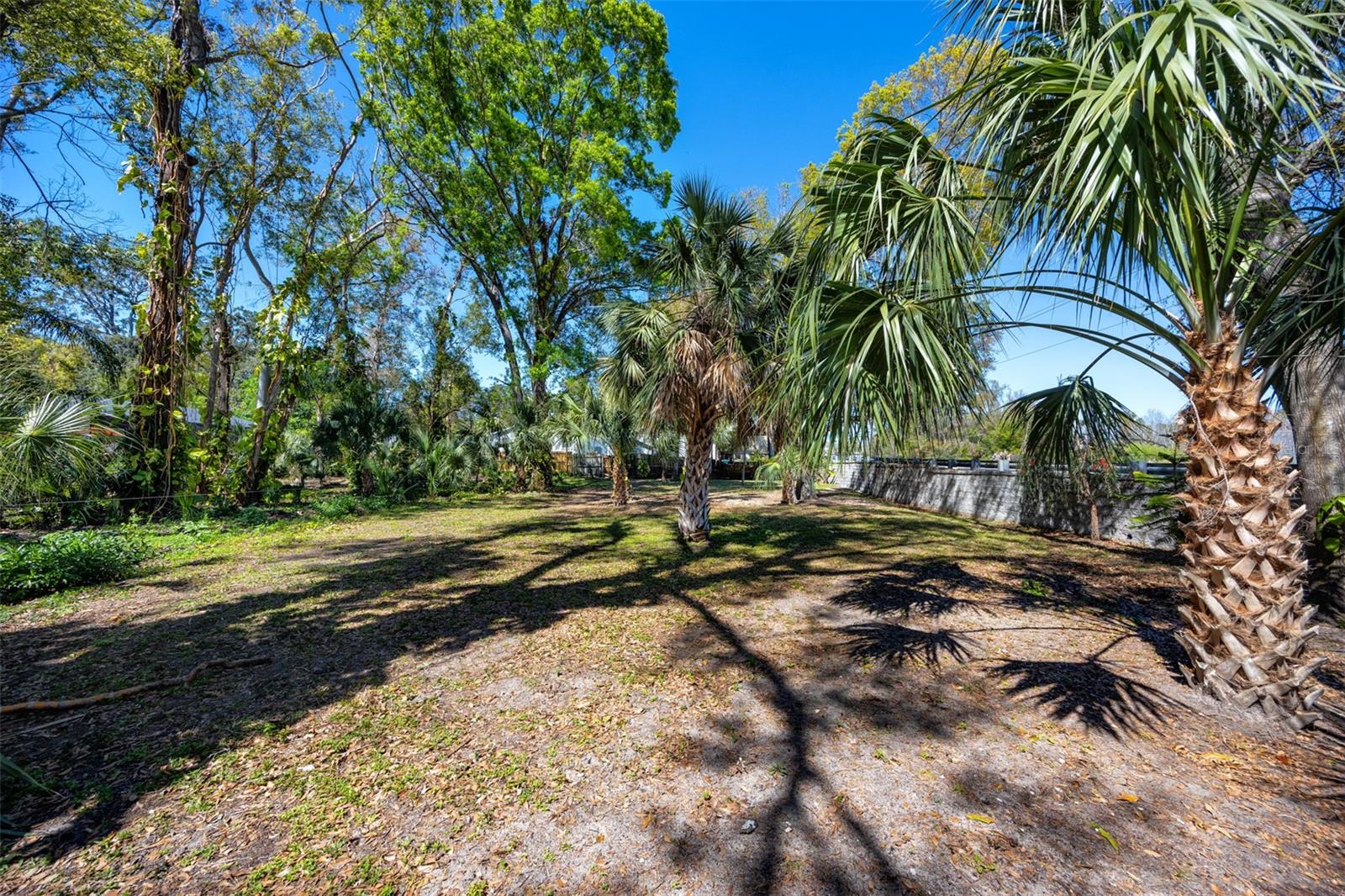 BOSTON ST, TARPON SPRINGS, FL — photo 12
