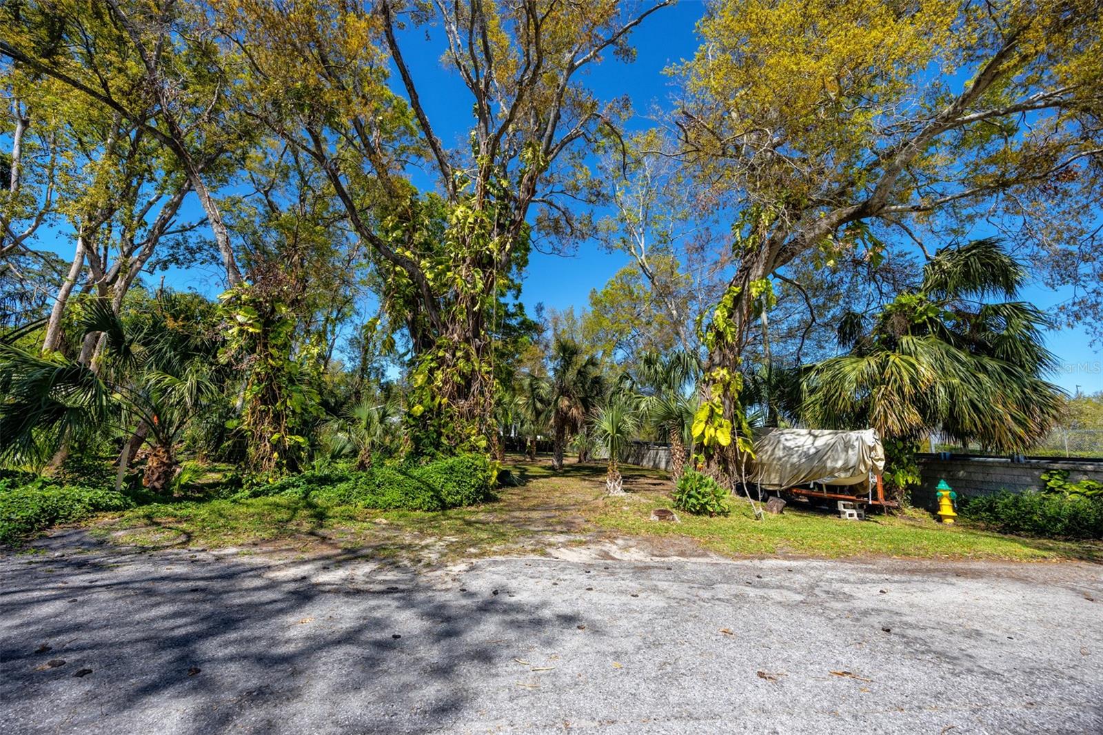 BOSTON ST, TARPON SPRINGS, FL — photo 13