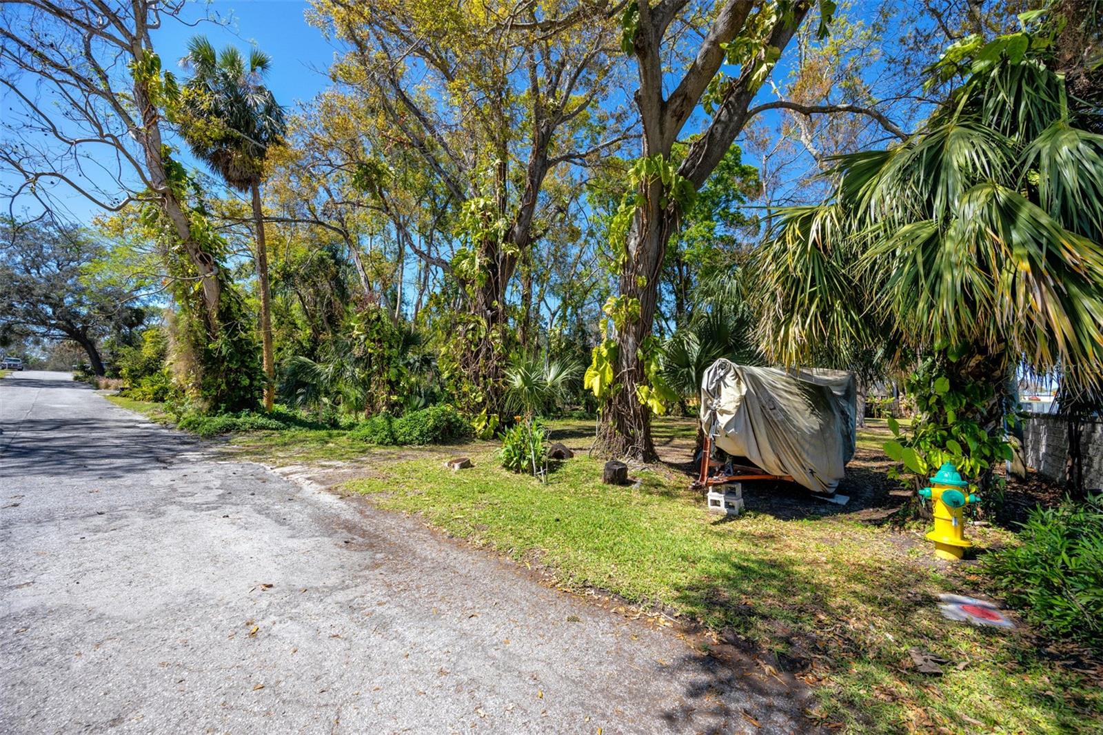 BOSTON ST, TARPON SPRINGS, FL — photo 14