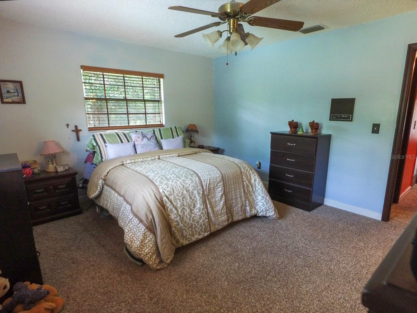 4902 FIVE ACRE RD, PLANT CITY, FL — photo 30