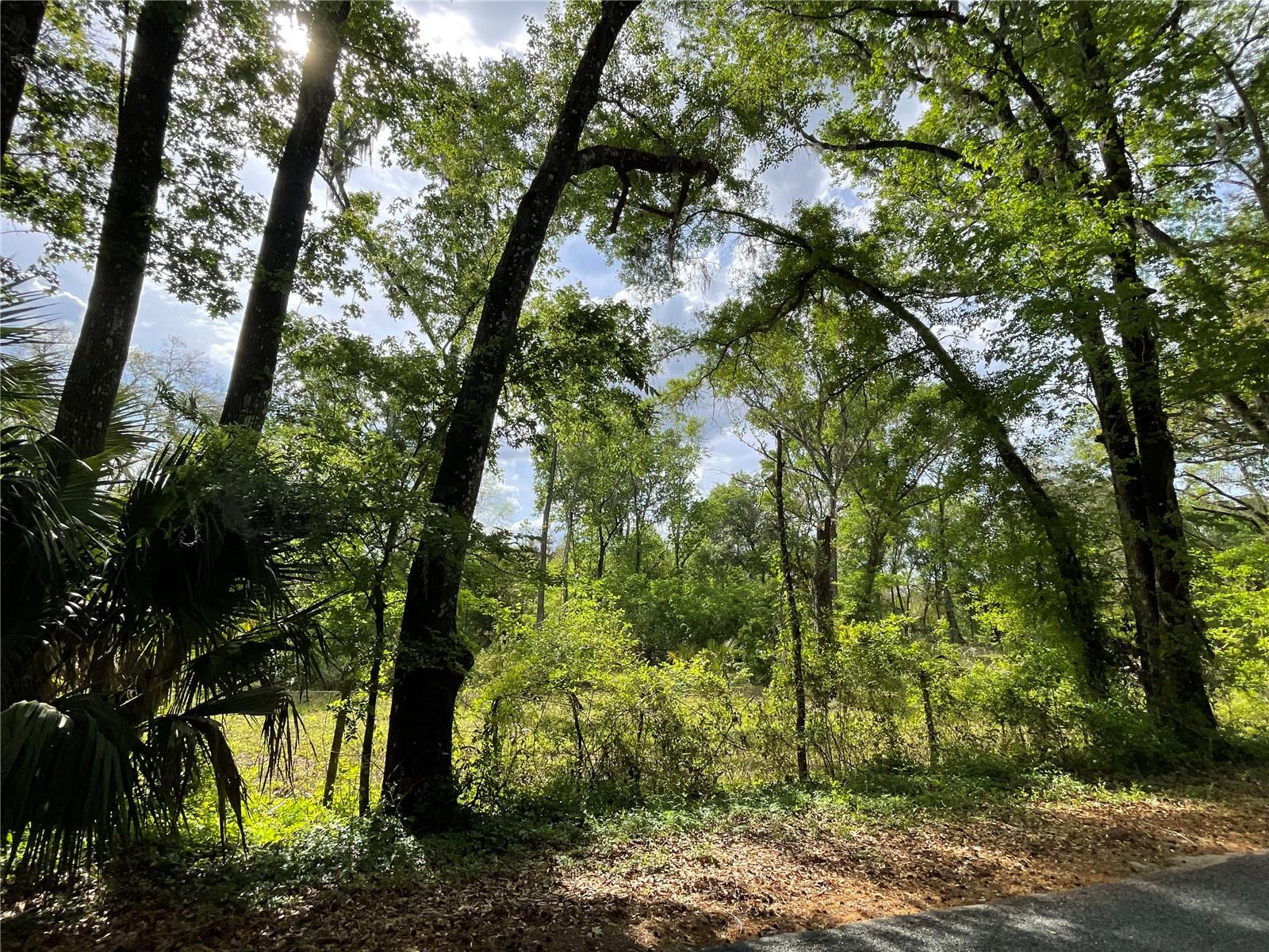 17400 NW 120TH AVE RD, REDDICK, FL — photo 18