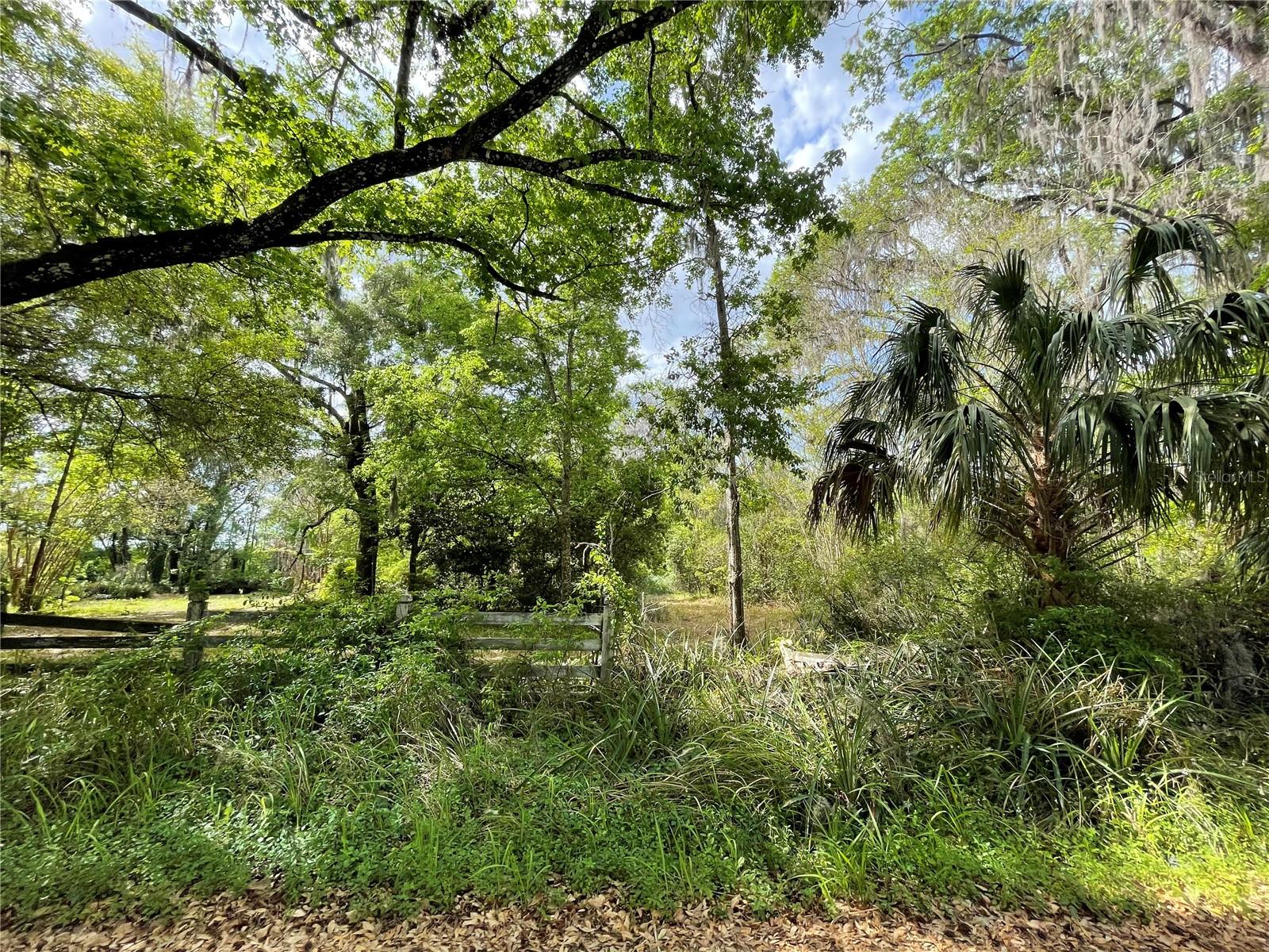 17400 NW 120TH AVE RD, REDDICK, FL — photo 13