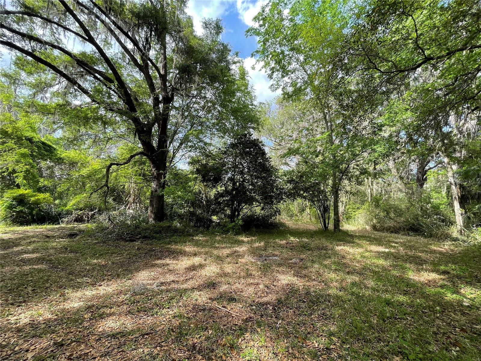 17400 NW 120TH AVE RD, REDDICK, FL — photo 20
