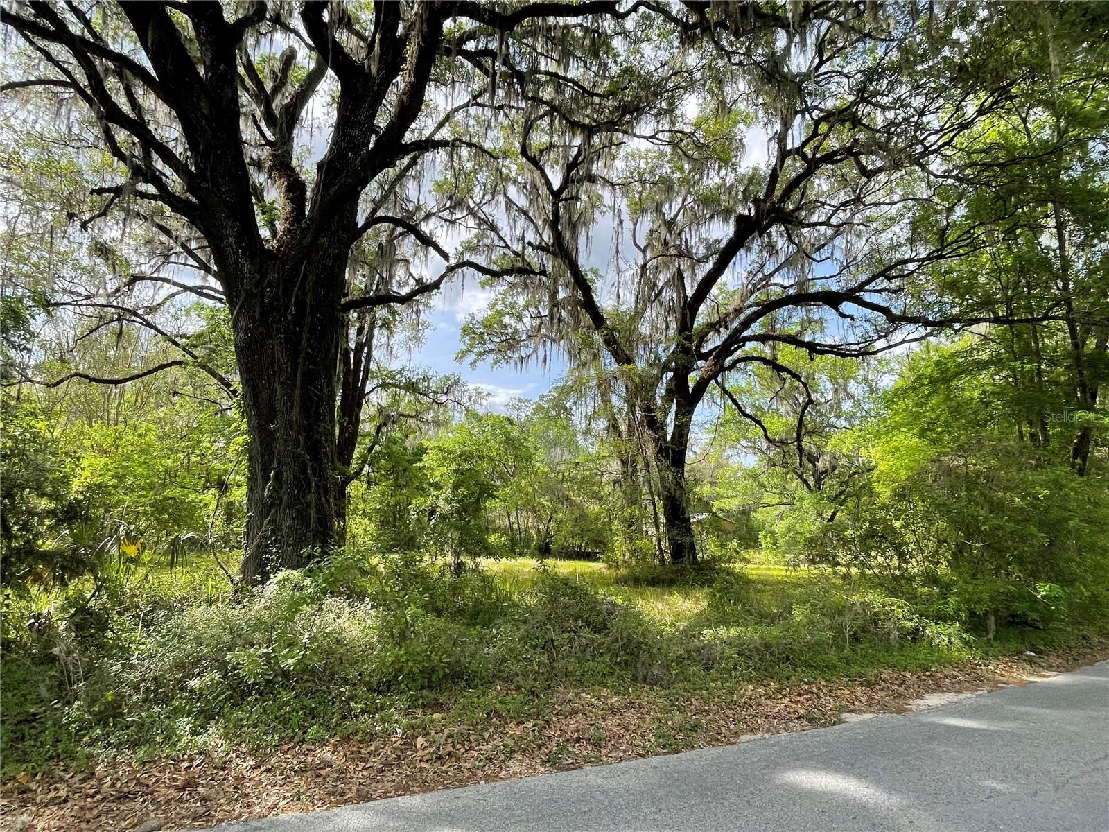 17400 NW 120TH AVE RD, REDDICK, FL — photo 26