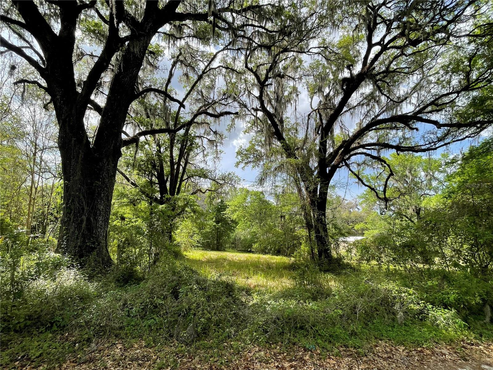 17400 NW 120TH AVE RD, REDDICK, FL — photo 2
