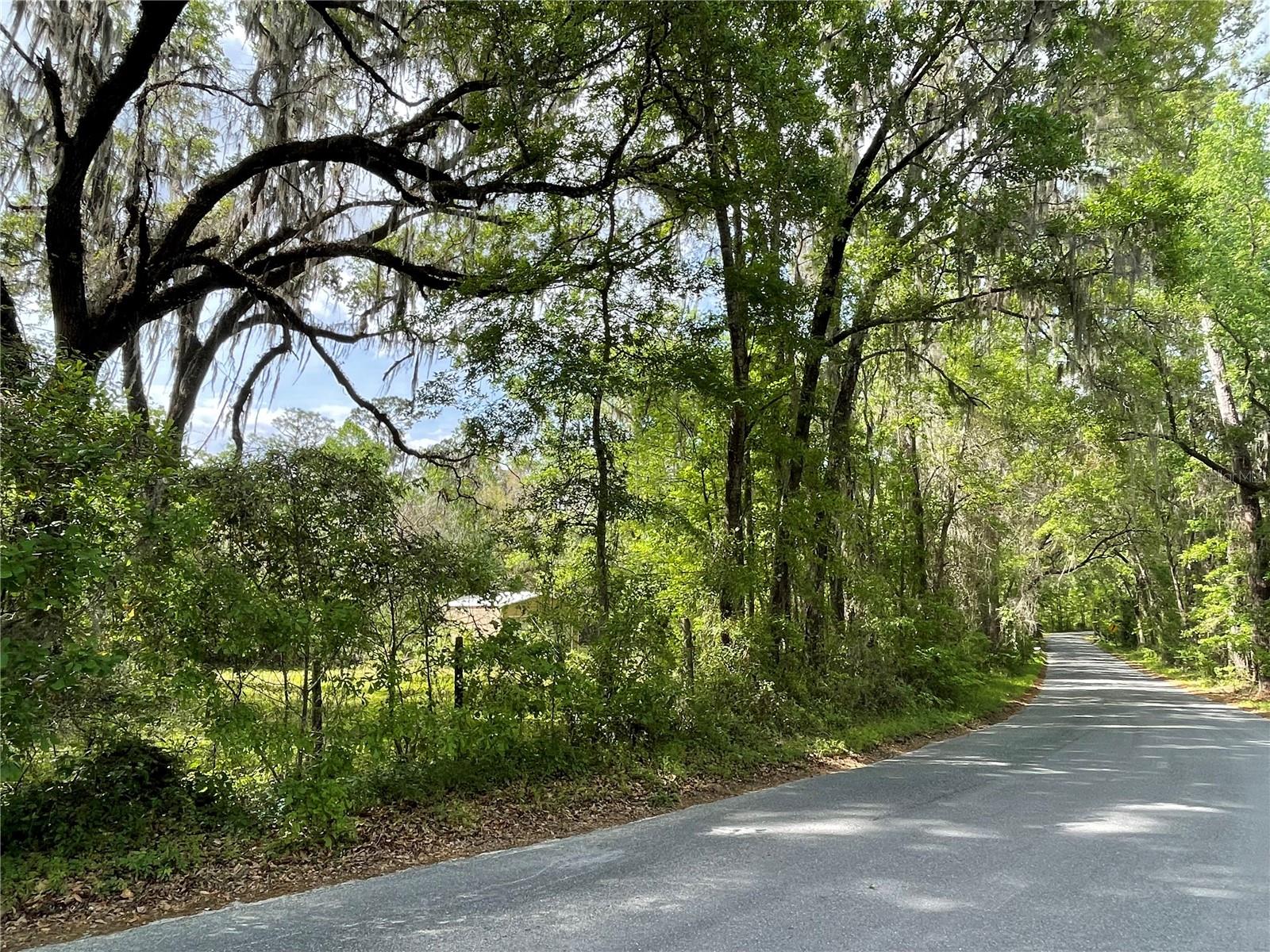 17400 NW 120TH AVE RD, REDDICK, FL — photo 28