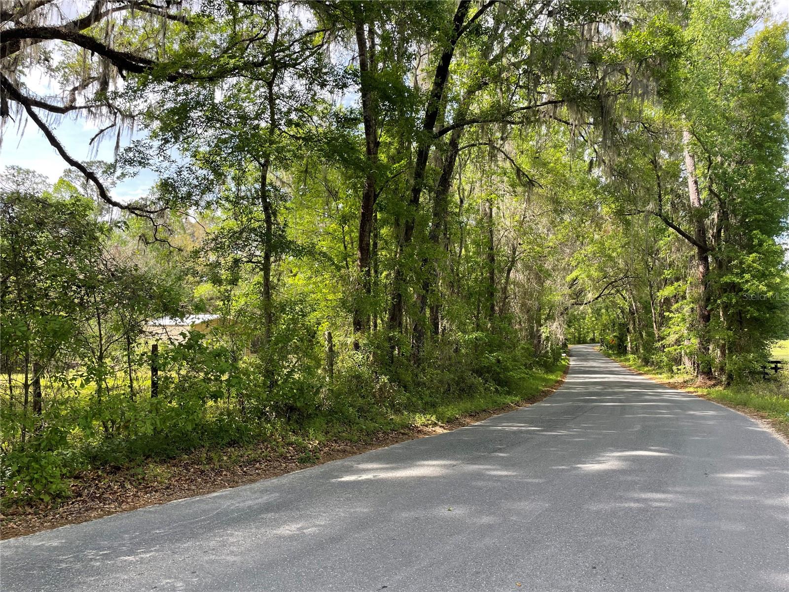 17400 NW 120TH AVE RD, REDDICK, FL — photo 29
