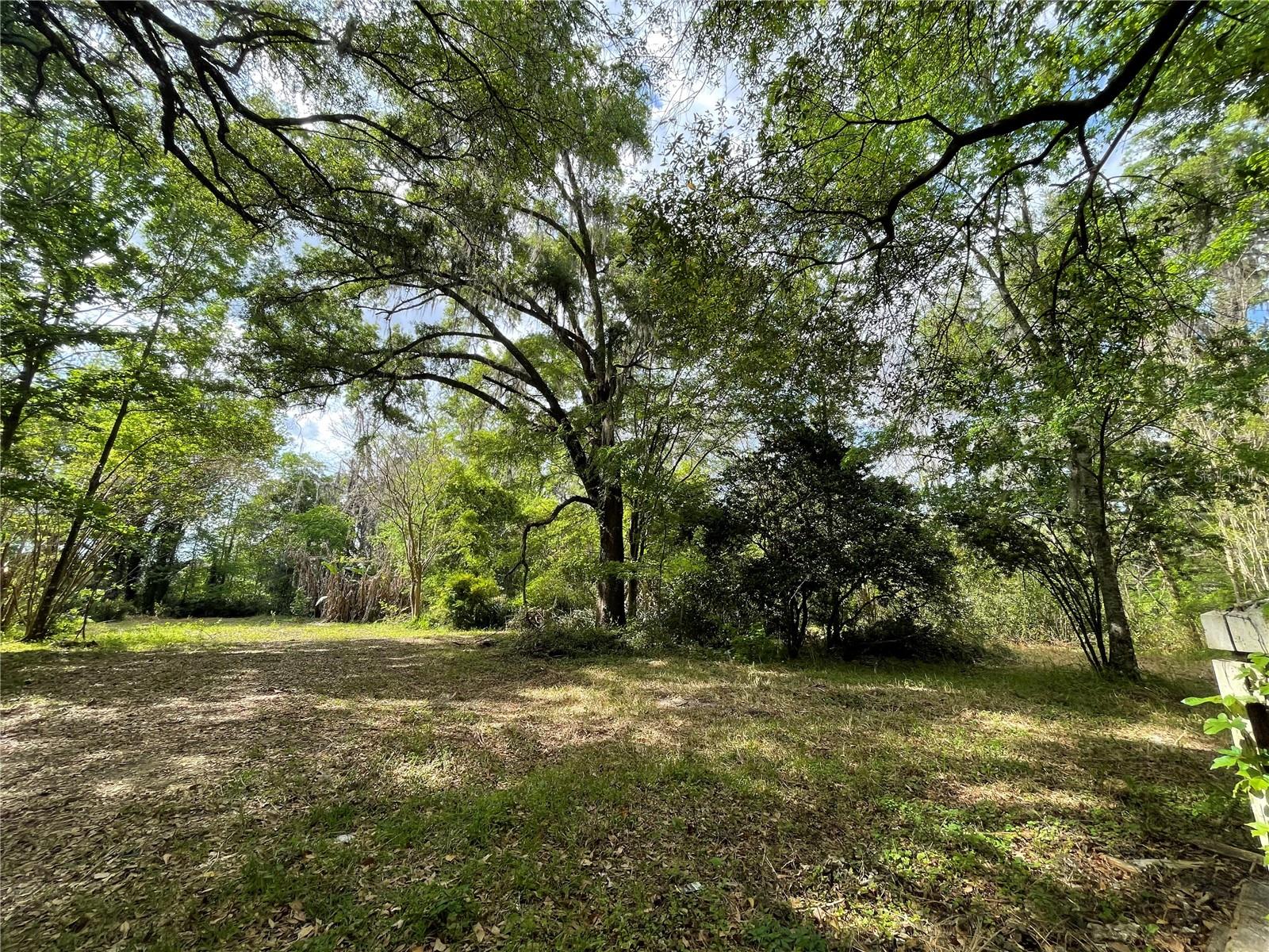 17400 NW 120TH AVE RD, REDDICK, FL — photo 35