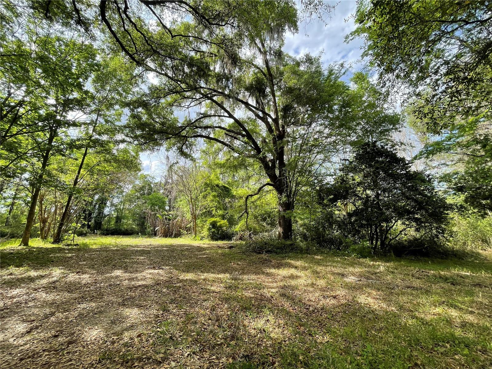 17400 NW 120TH AVE RD, REDDICK, FL — photo 38