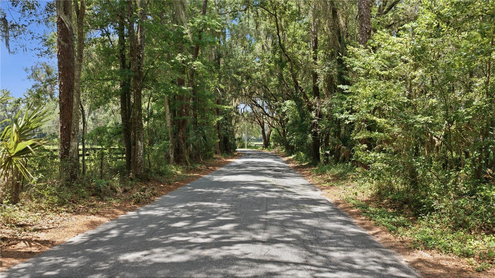 17400 NW 120TH AVE RD, REDDICK, FL — photo 4
