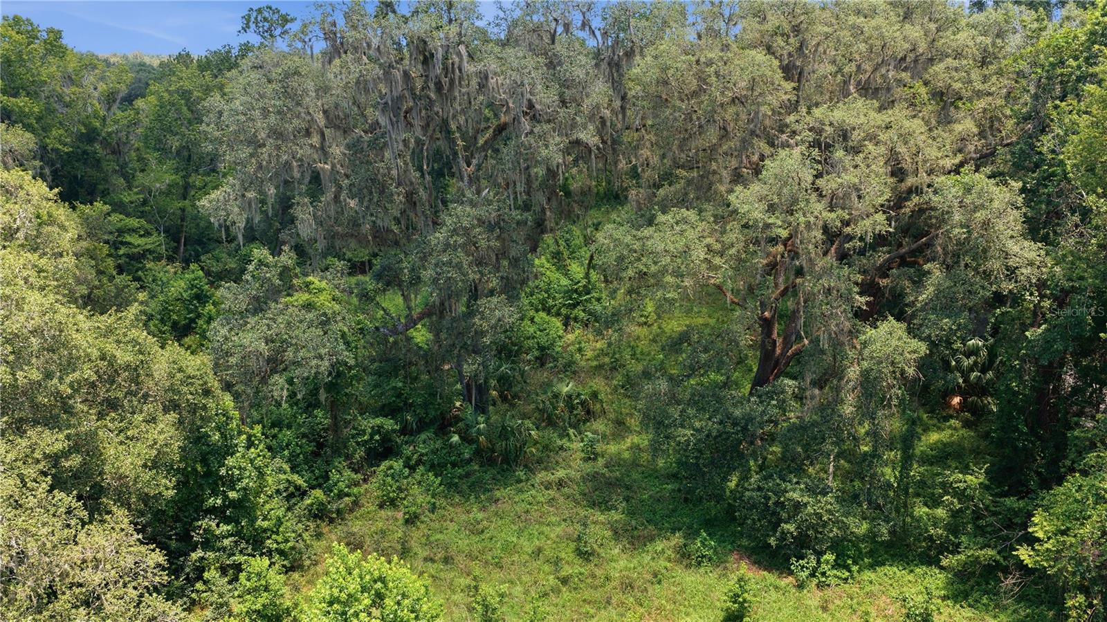 17400 NW 120TH AVE RD, REDDICK, FL — photo 9