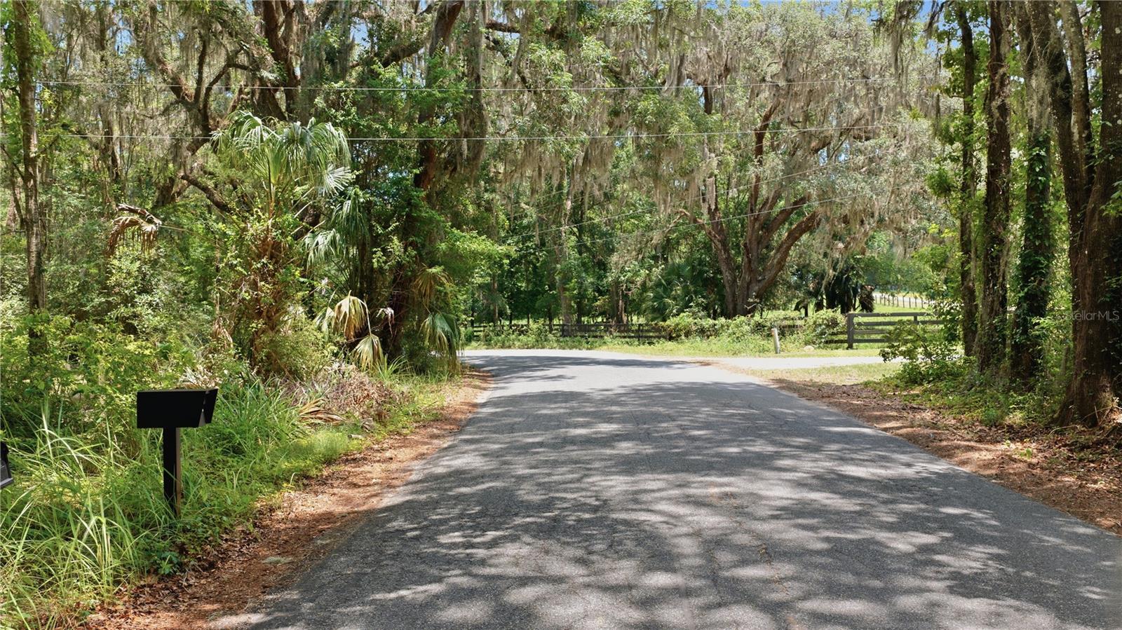 17400 NW 120TH AVE RD, REDDICK, FL — photo 17