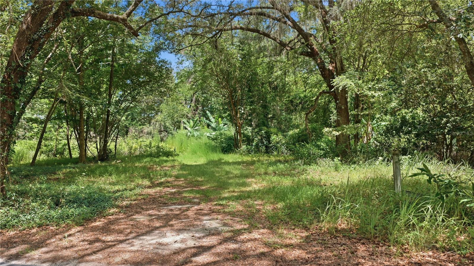17400 NW 120TH AVE RD, REDDICK, FL — photo 32