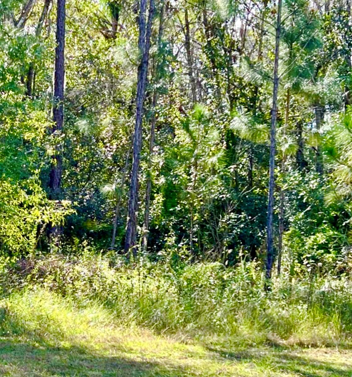 1011 INDIAN LAKE DR, INDIAN LAKE ESTATES, FL — photo 2