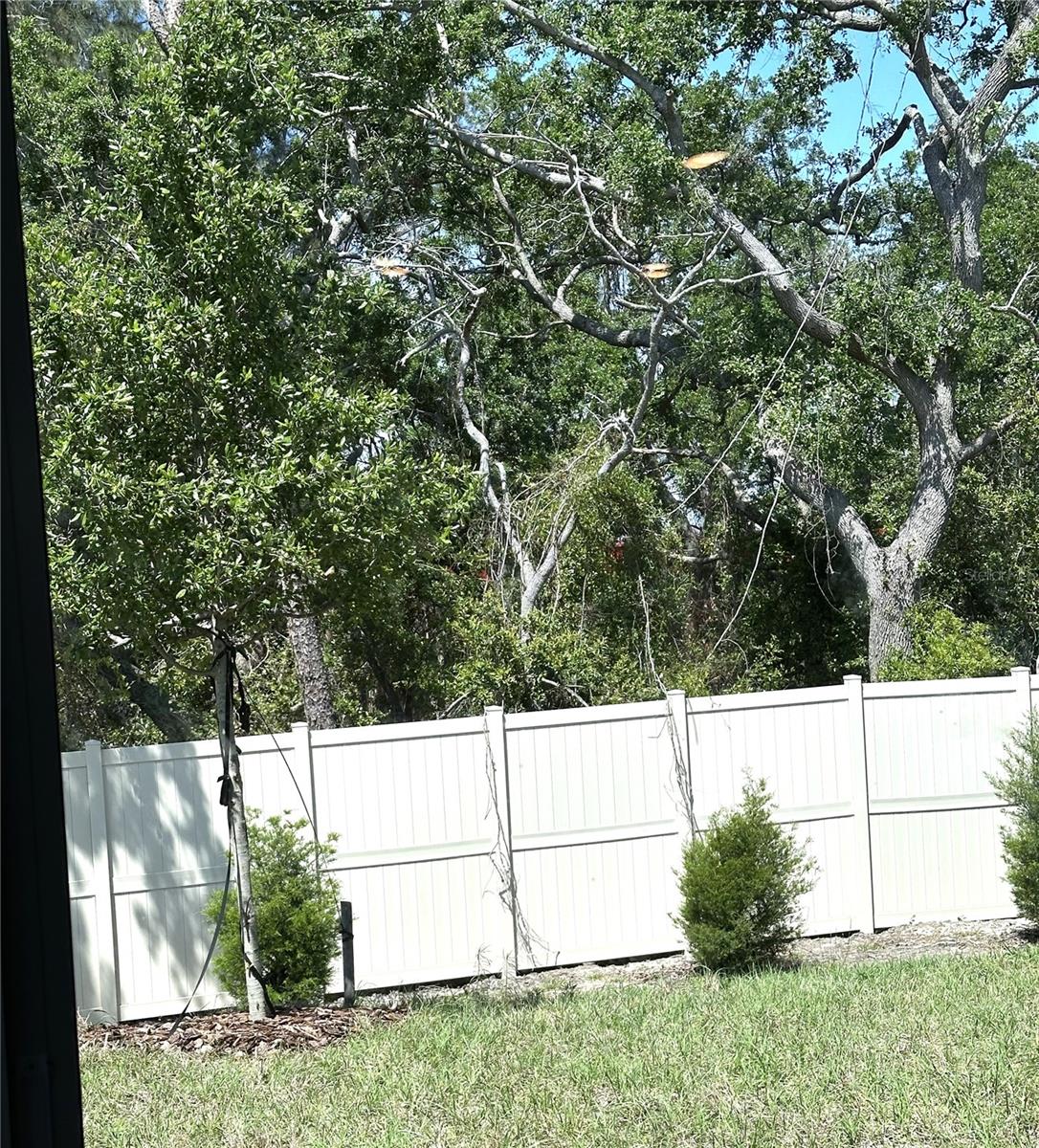 4649 PLEASANT AVE, PALM HARBOR, FL — photo 6