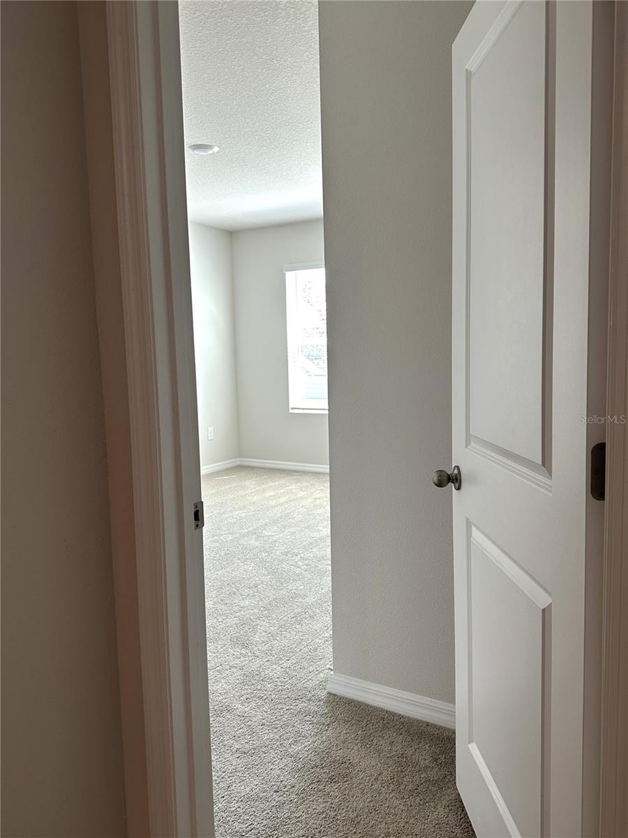 4649 PLEASANT AVE, PALM HARBOR, FL — photo 32