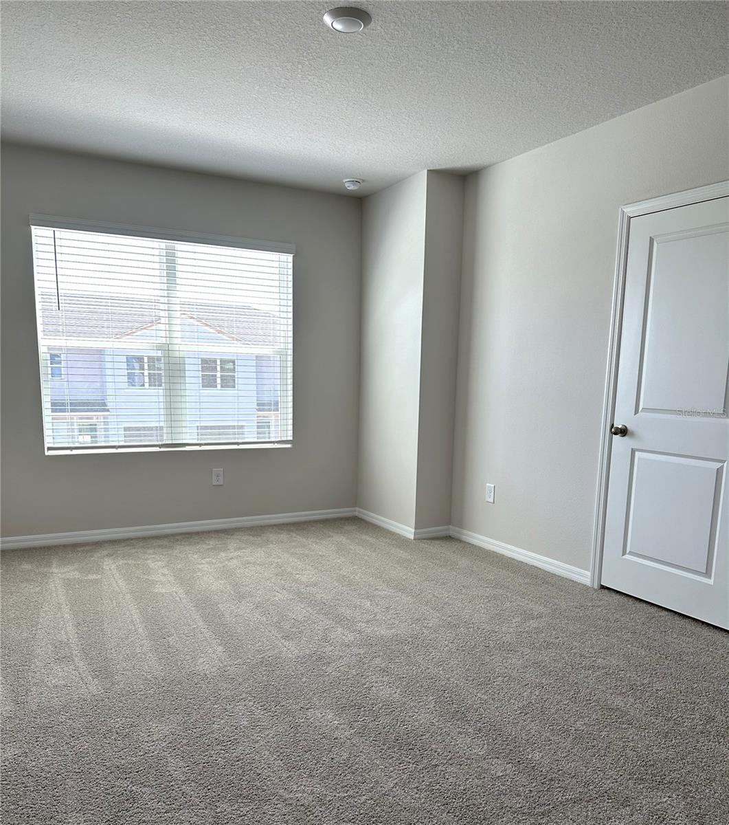 4649 PLEASANT AVE, PALM HARBOR, FL — photo 33