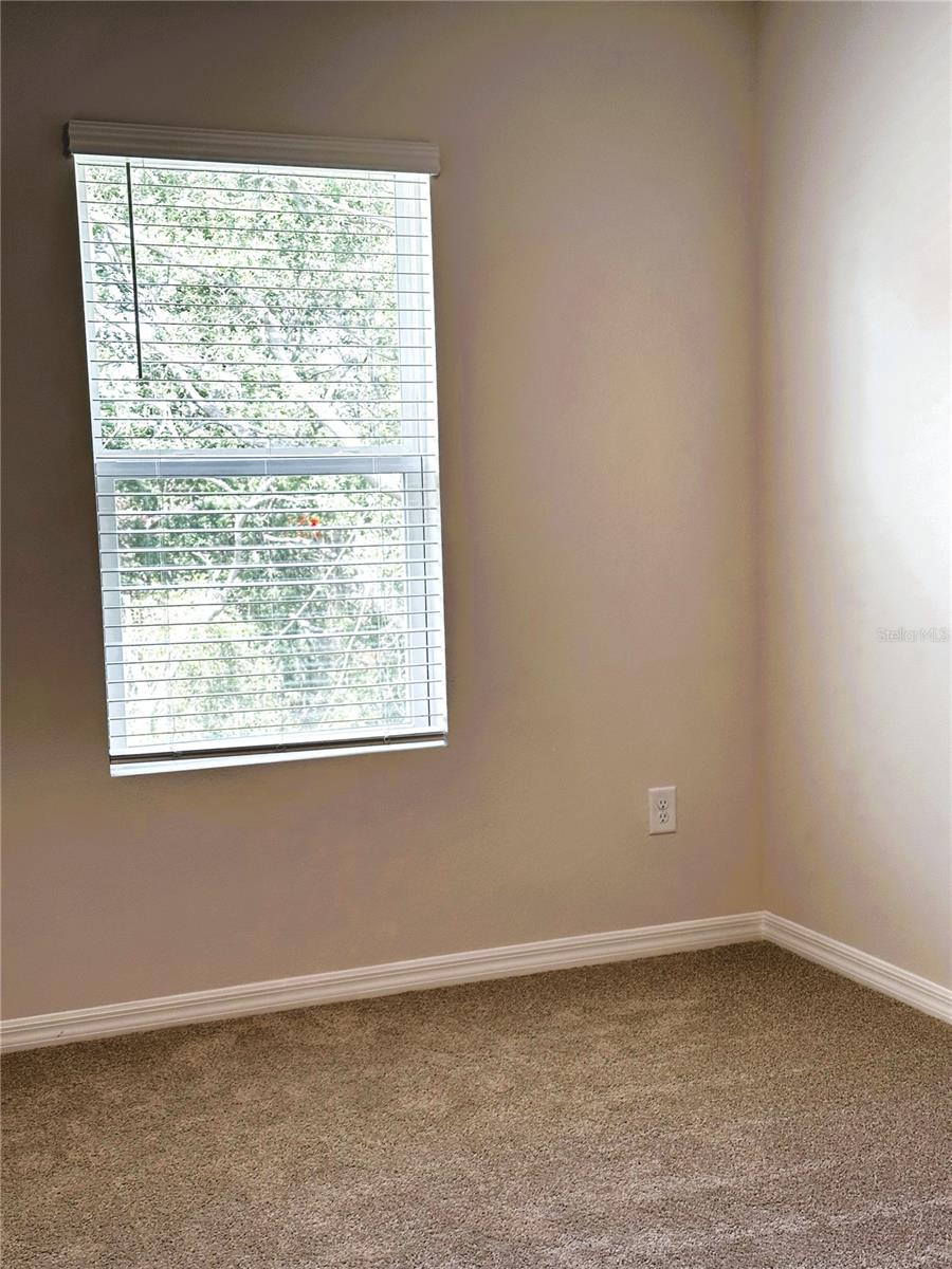 4649 PLEASANT AVE, PALM HARBOR, FL — photo 44