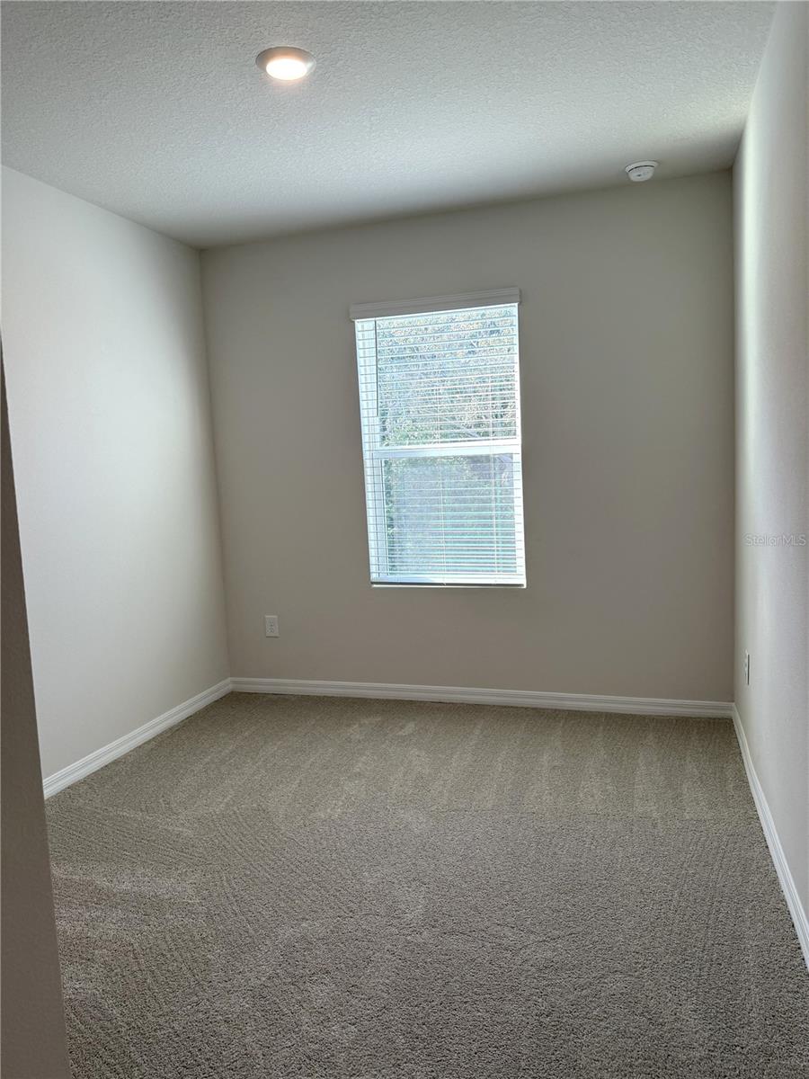 4649 PLEASANT AVE, PALM HARBOR, FL — photo 47