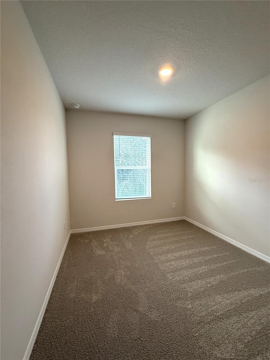 4649 PLEASANT AVE, PALM HARBOR, FL — photo 48